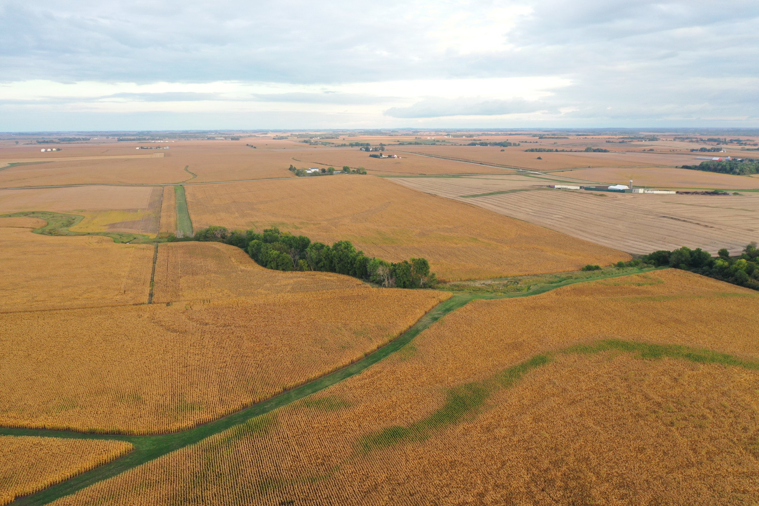 land-black-hawk-county-iowa-80-acres-listing-number-17149-DJI_0783-2.jpg