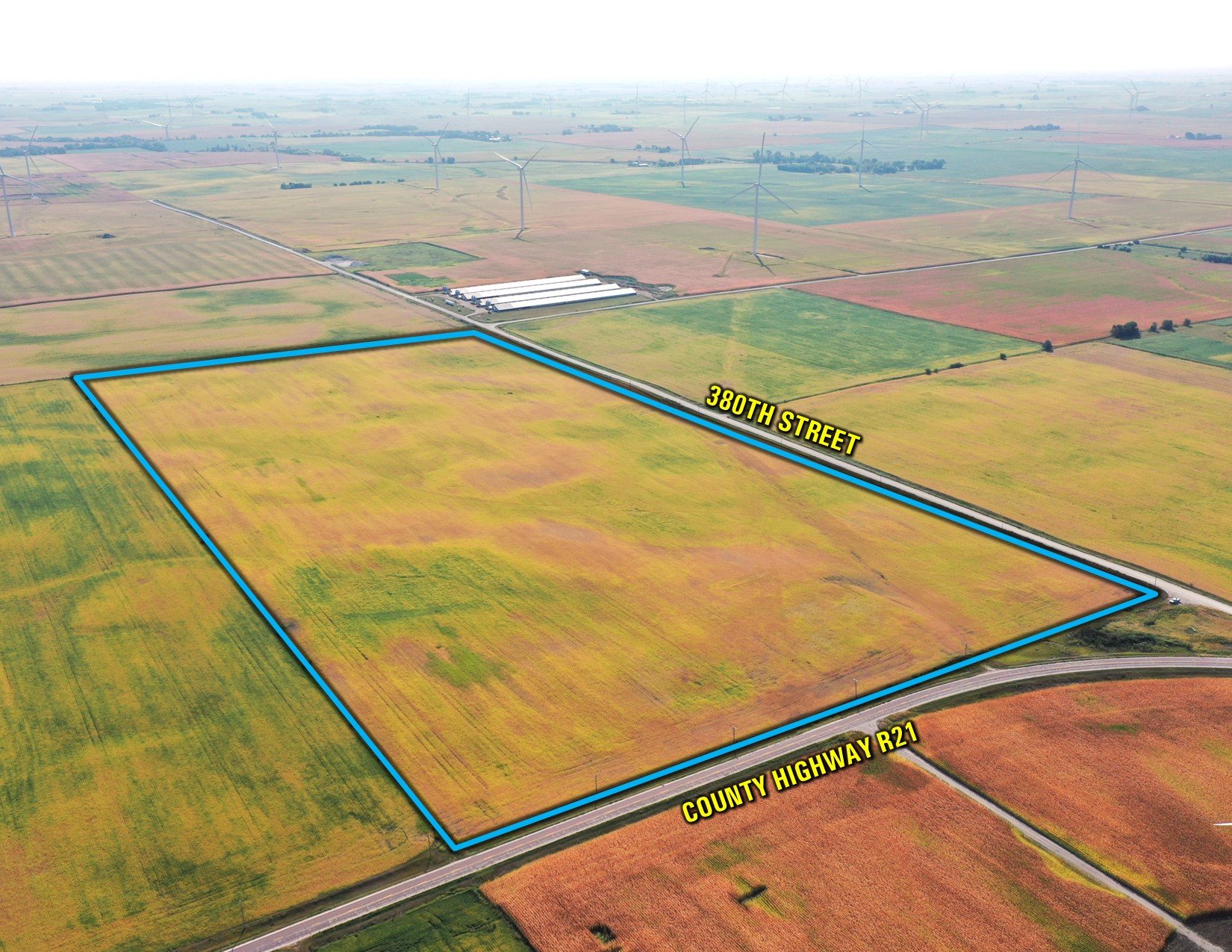 Hamilton County, Iowa Land Auction