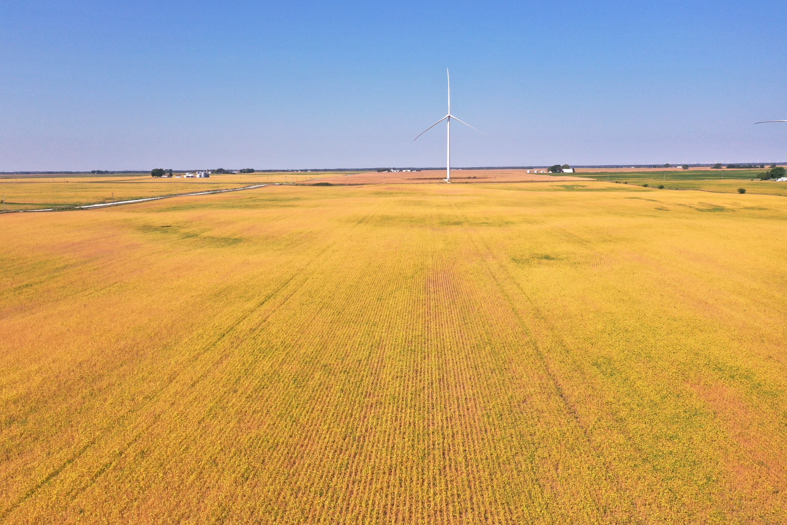 Hamilton County, Iowa Land Auction