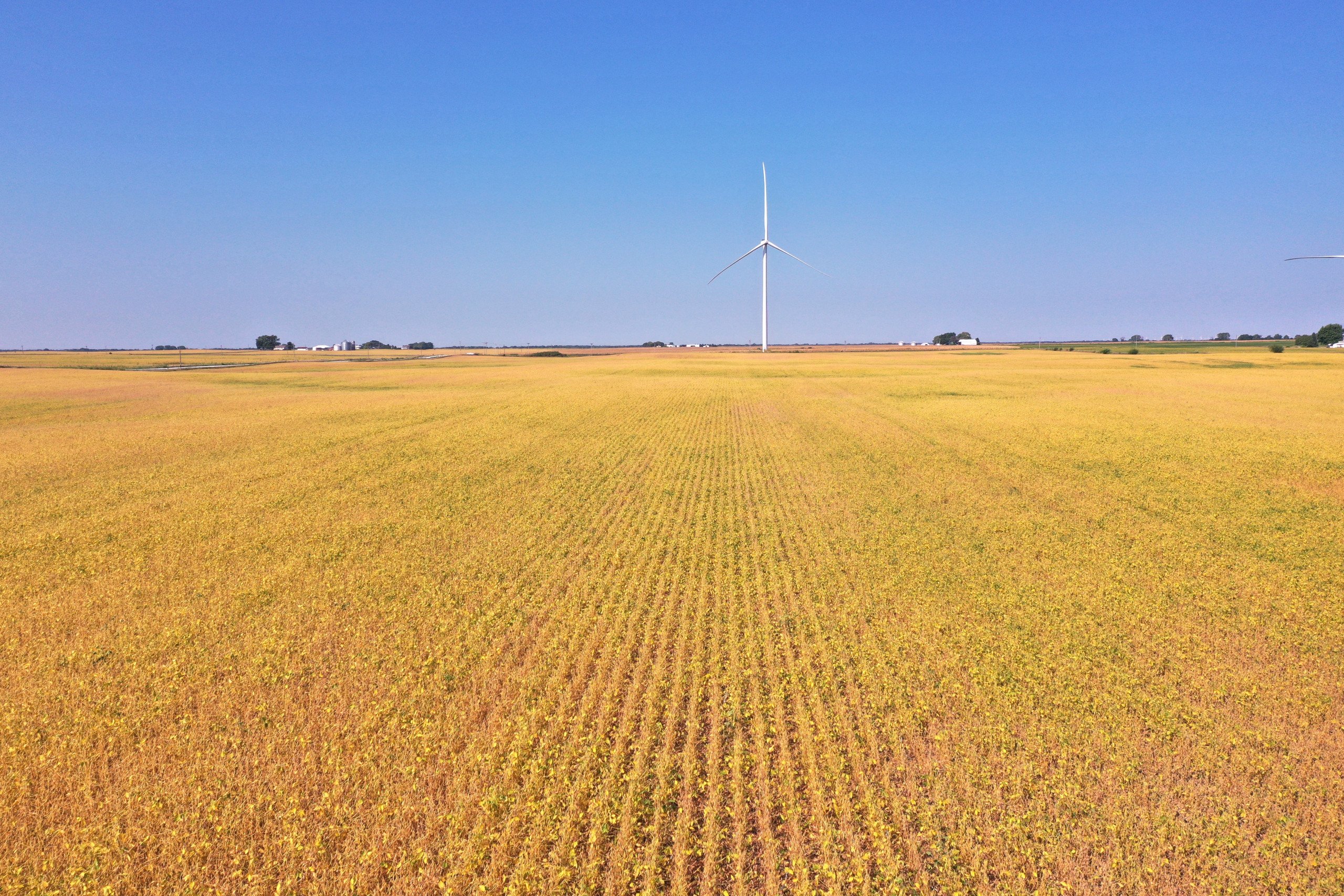 Hamilton County, Iowa Land Auction