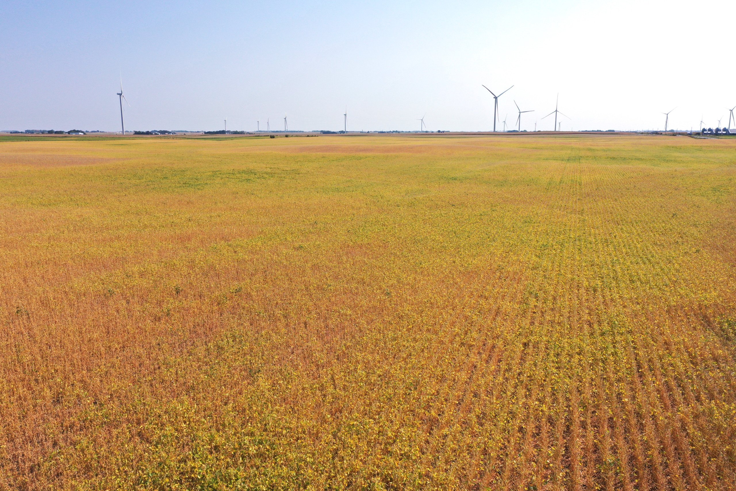 Hamilton County, Iowa Land Auction