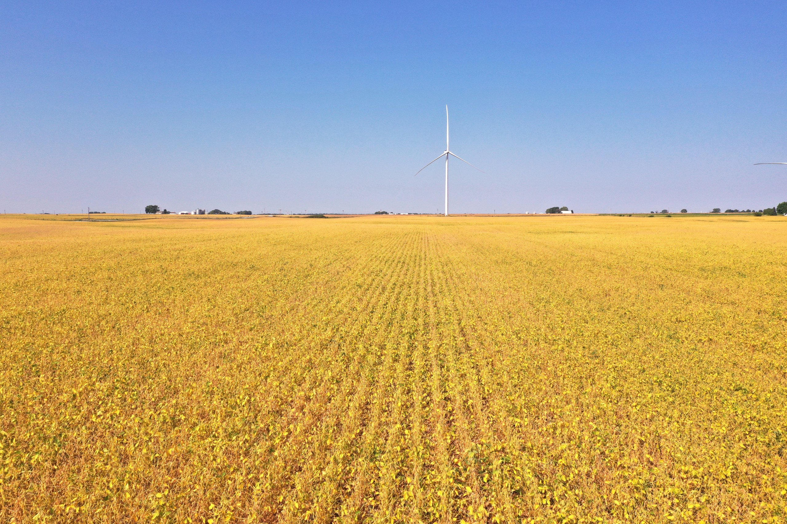 Hamilton County, Iowa Land Auction