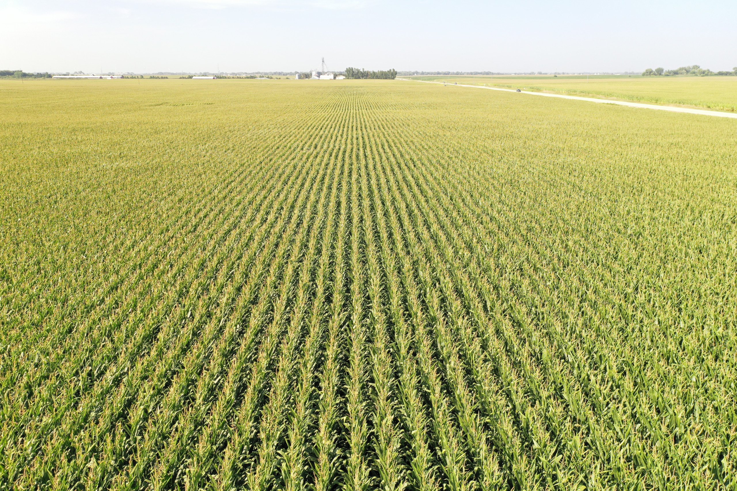 Boone County, Iowa Land Auction