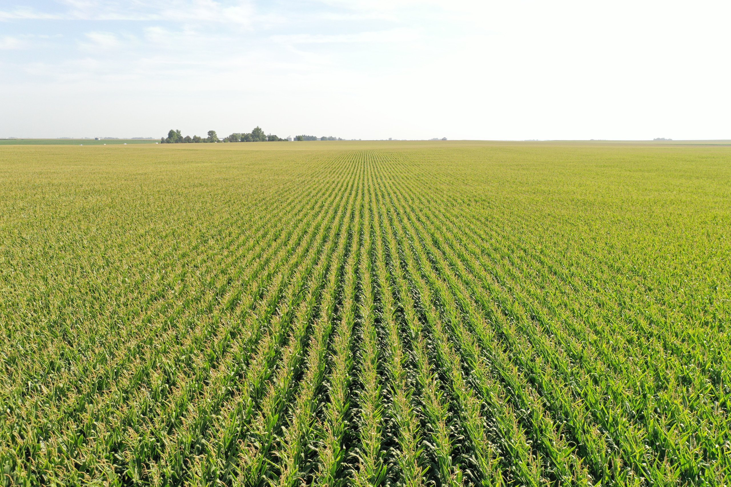 Boone County, Iowa Land Auction