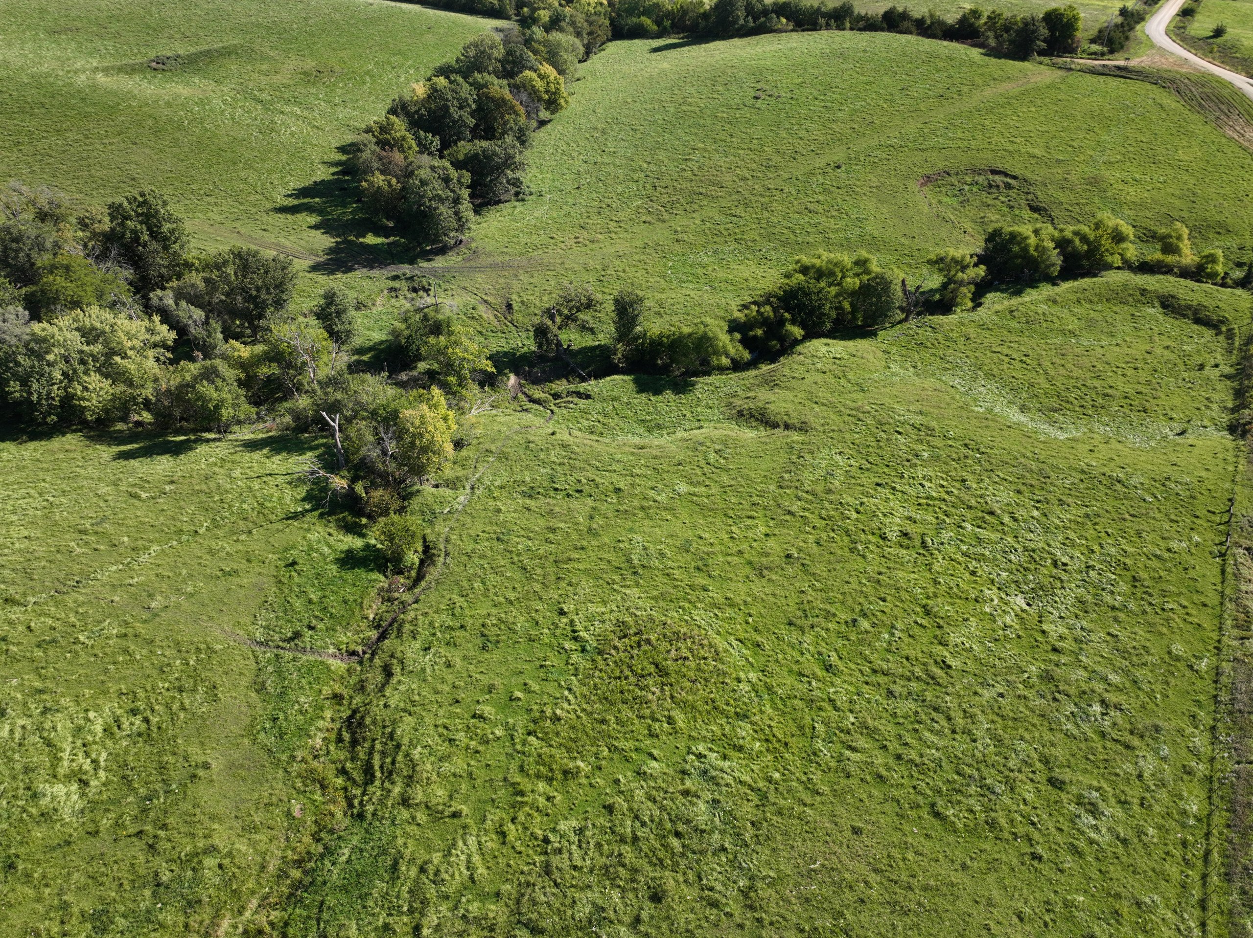 residential-land-wayne-county-iowa-81-acres-listing-number-17154-DJI_0596-0.jpg