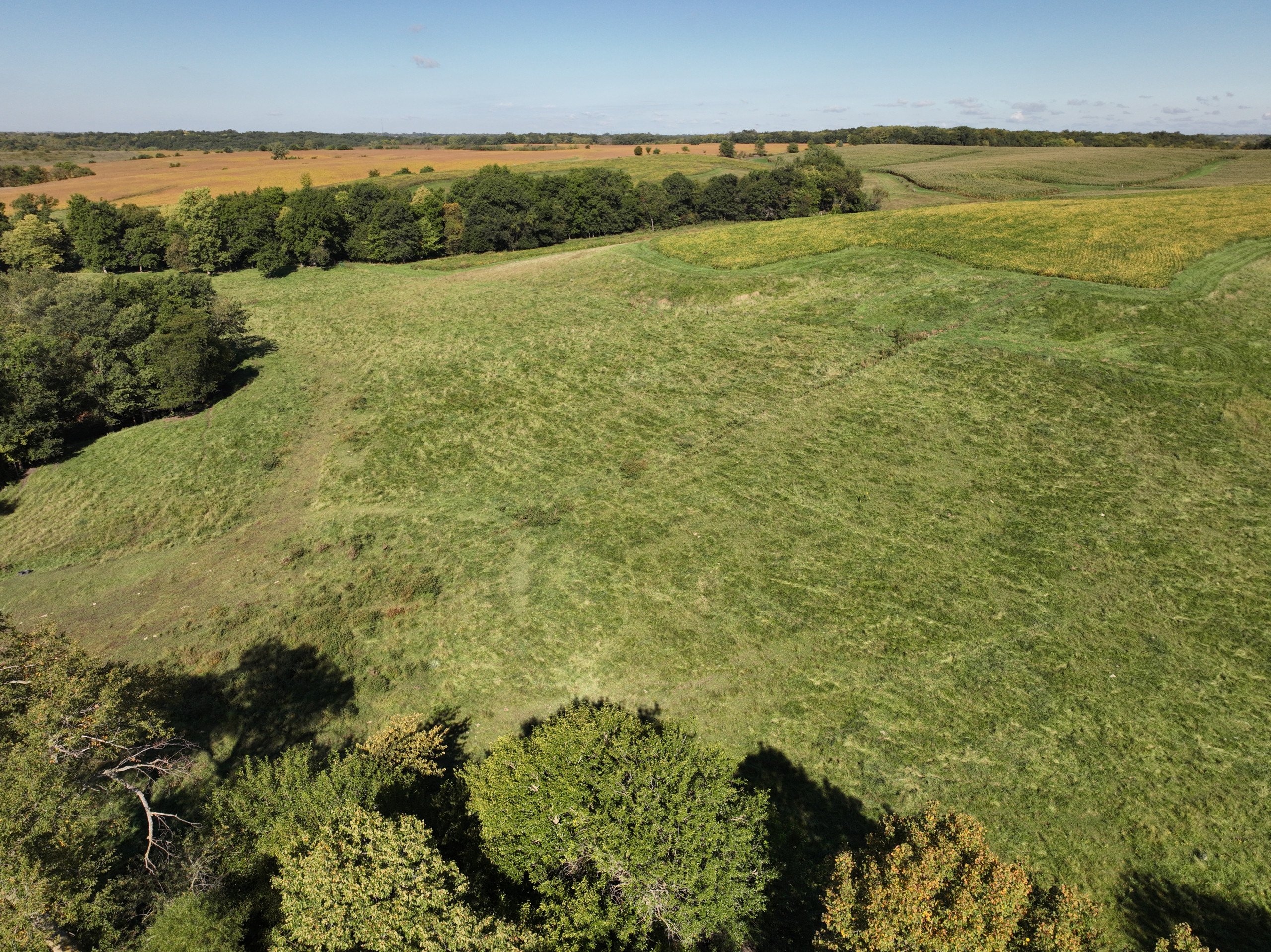 residential-land-wayne-county-iowa-81-acres-listing-number-17154-DJI_0603-2.jpg