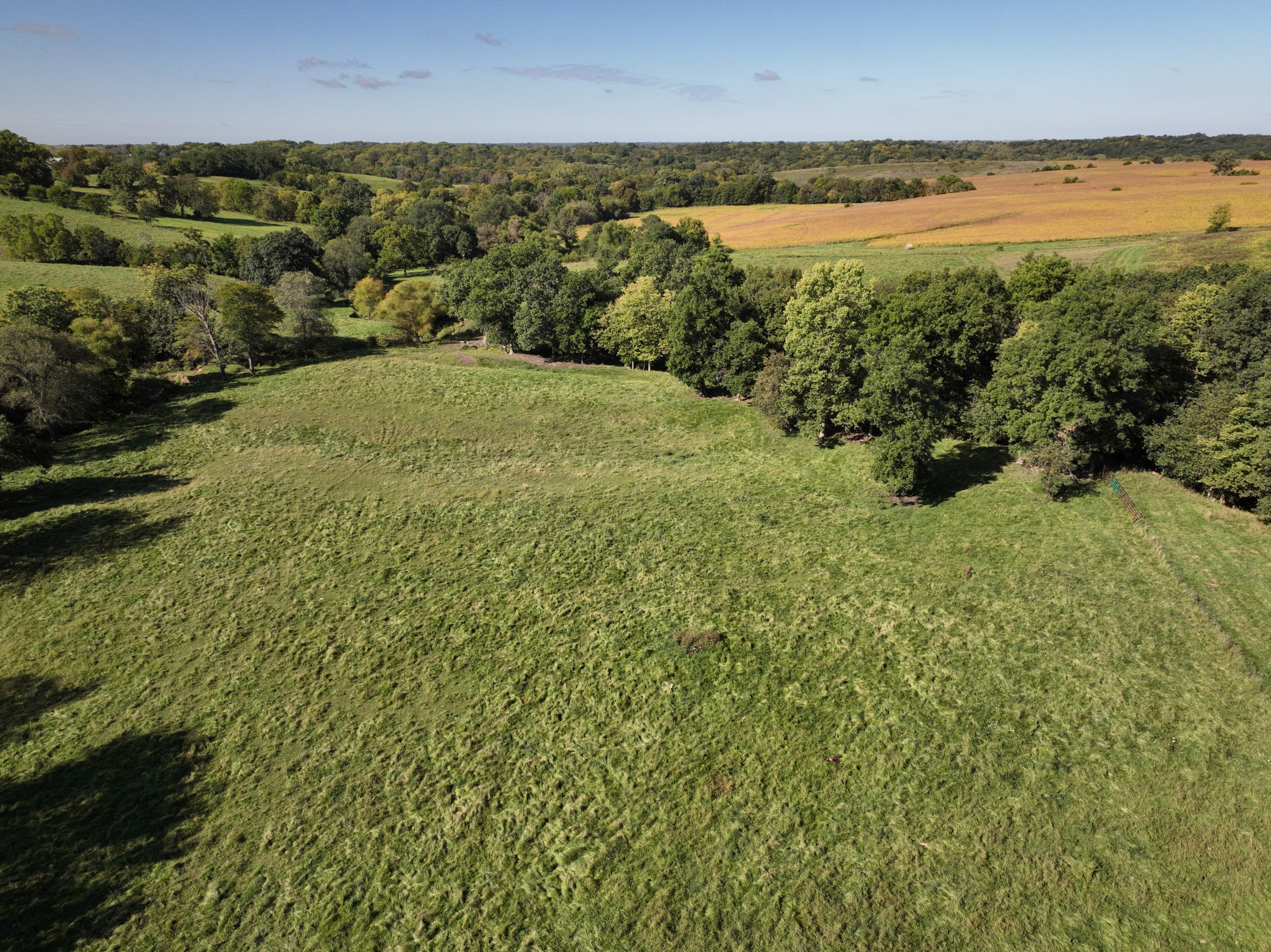 residential-land-wayne-county-iowa-81-acres-listing-number-17154-DJI_0604-3.jpg