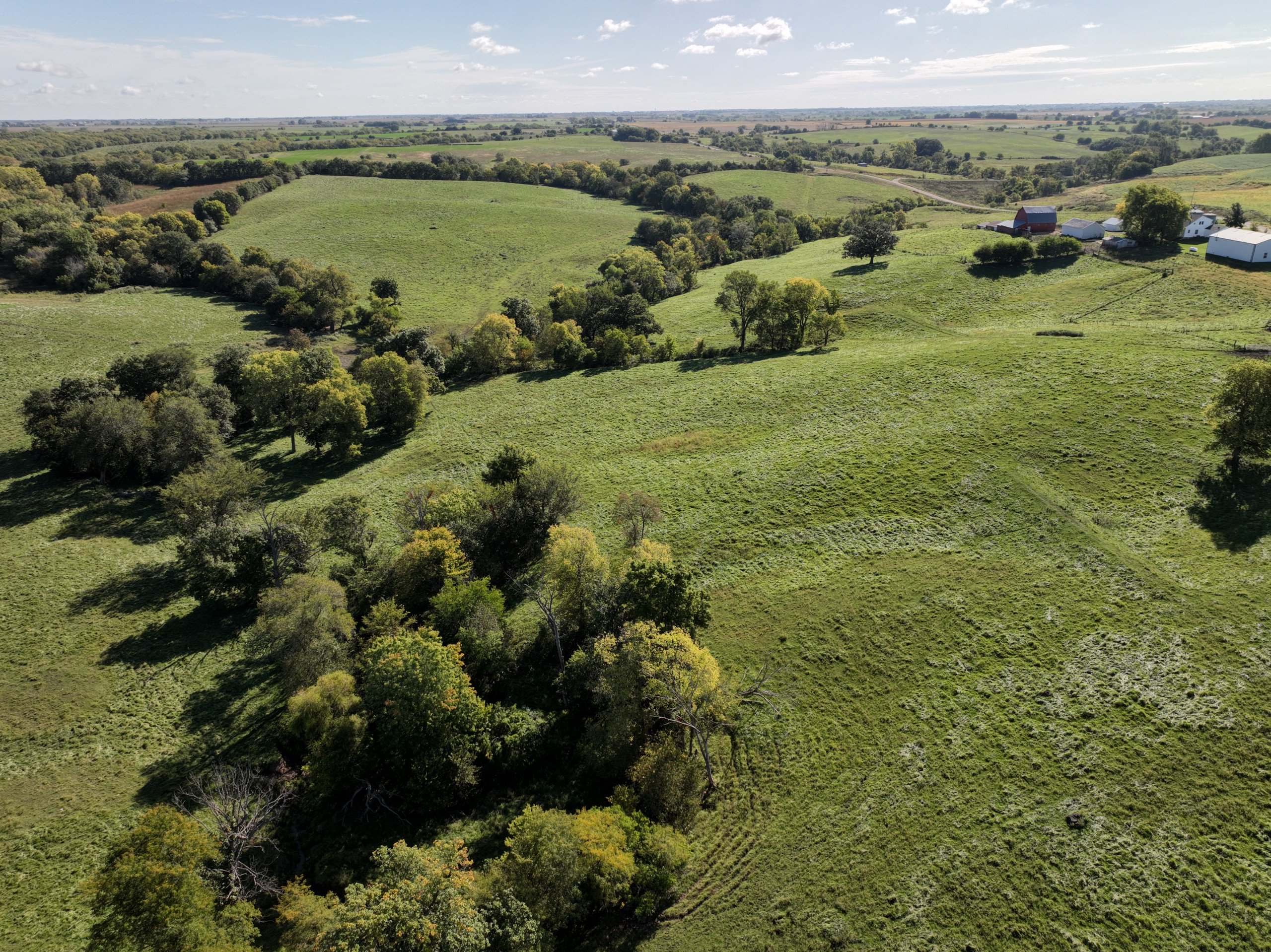 residential-land-wayne-county-iowa-81-acres-listing-number-17154-DJI_0609-3.jpg