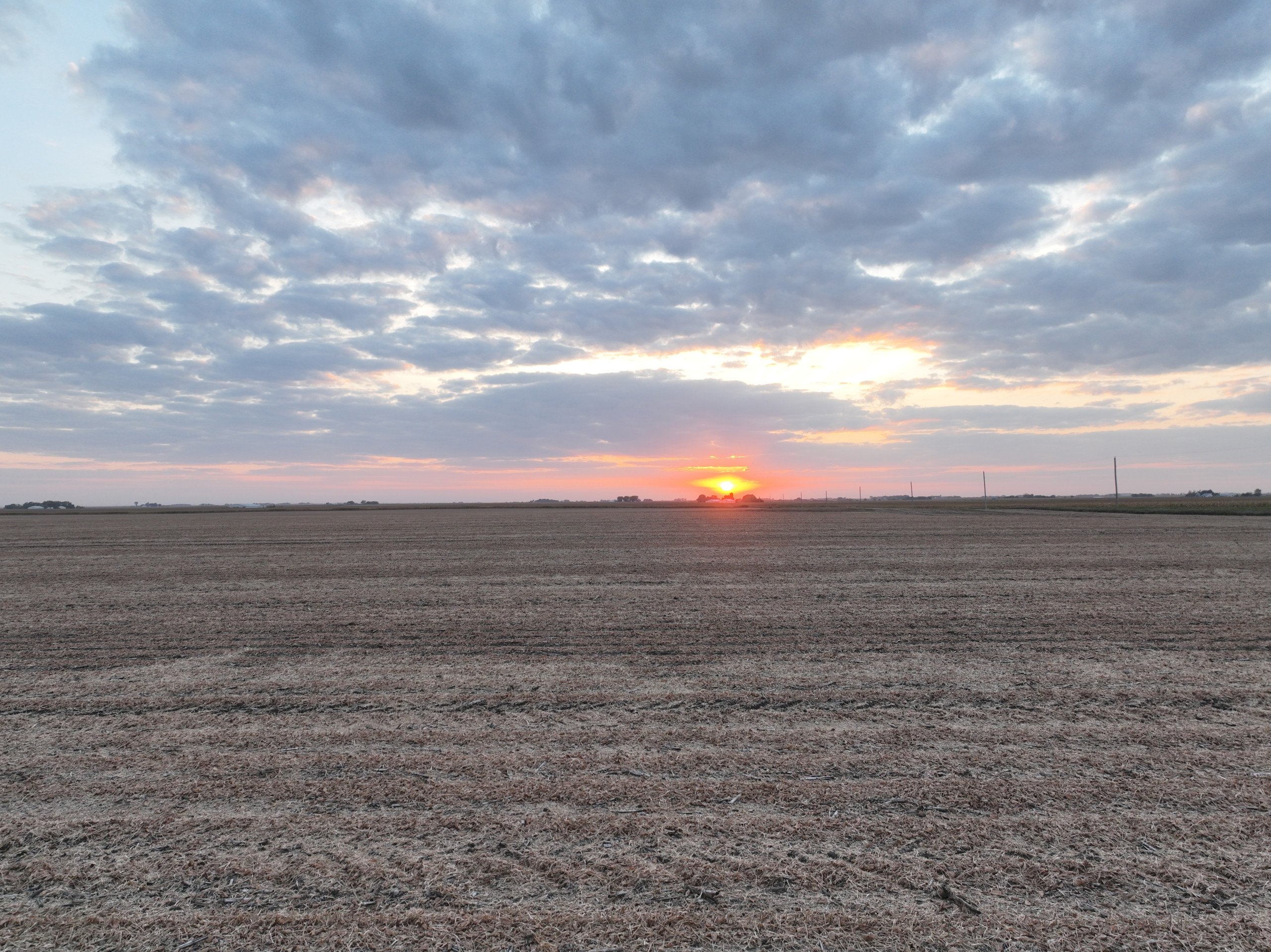 1-330th-street-county-road-d53-quinton-avenue-lohrville-51453-51454-DJI_0095-0.jpg