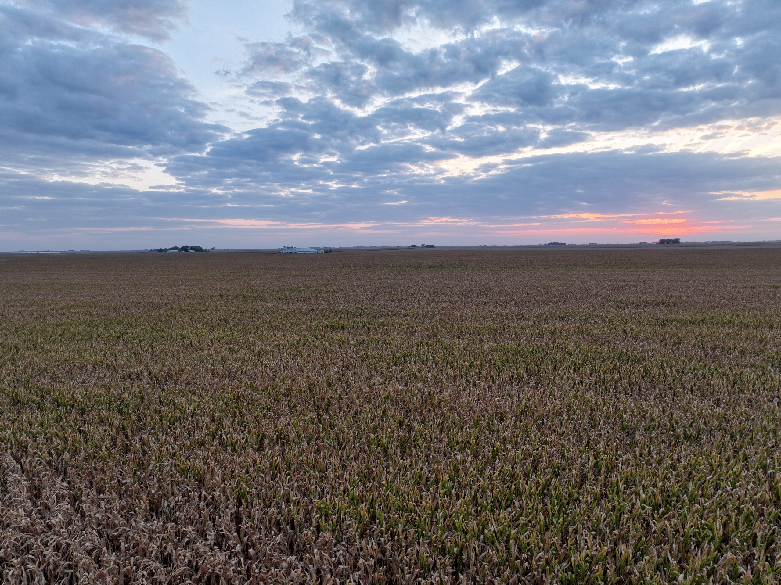 4-330th-street-county-road-d53-preston-avenue-51453-DJI_0118-2.jpg