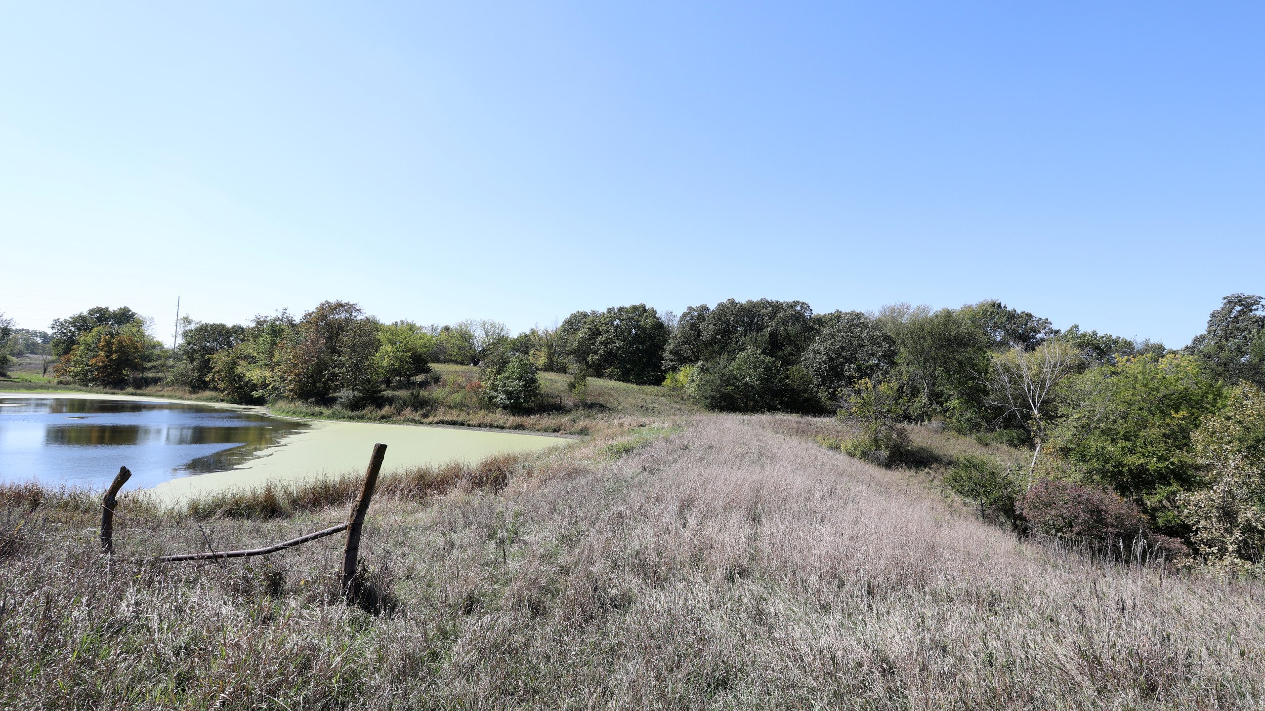 residential-land-lucas-county-iowa-18-acres-listing-number-17156-3D8A1069-3.jpg