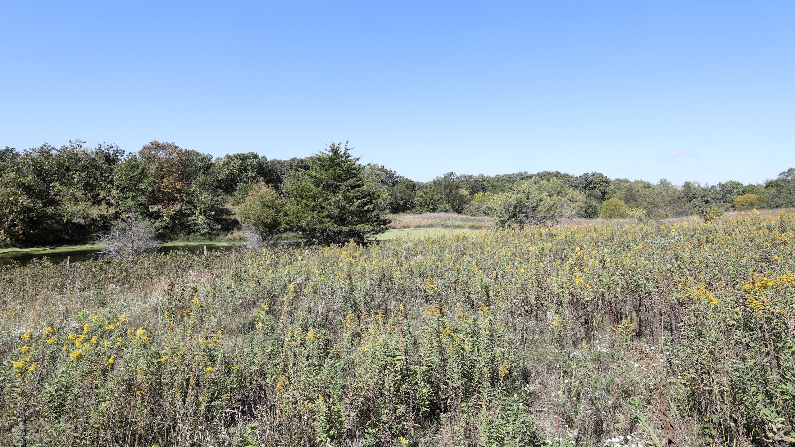 residential-land-lucas-county-iowa-18-acres-listing-number-17156-3D8A1072-0.jpg