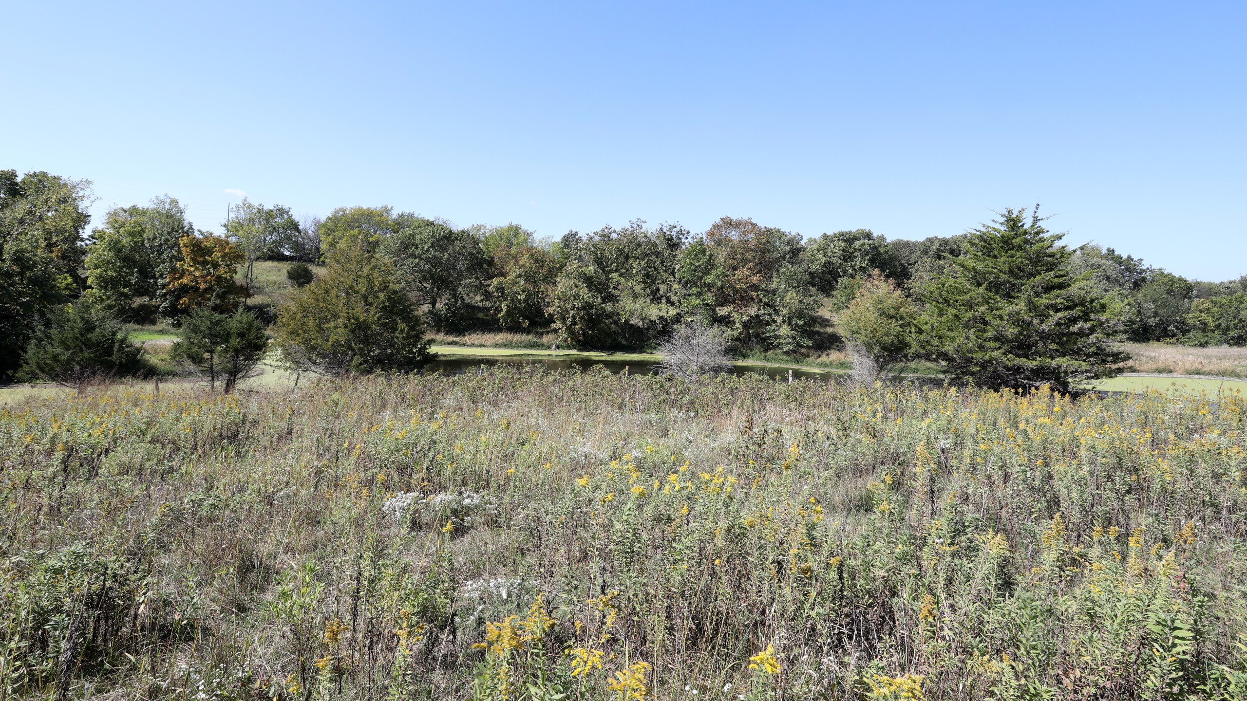 residential-land-lucas-county-iowa-18-acres-listing-number-17156-3D8A1073-1.jpg