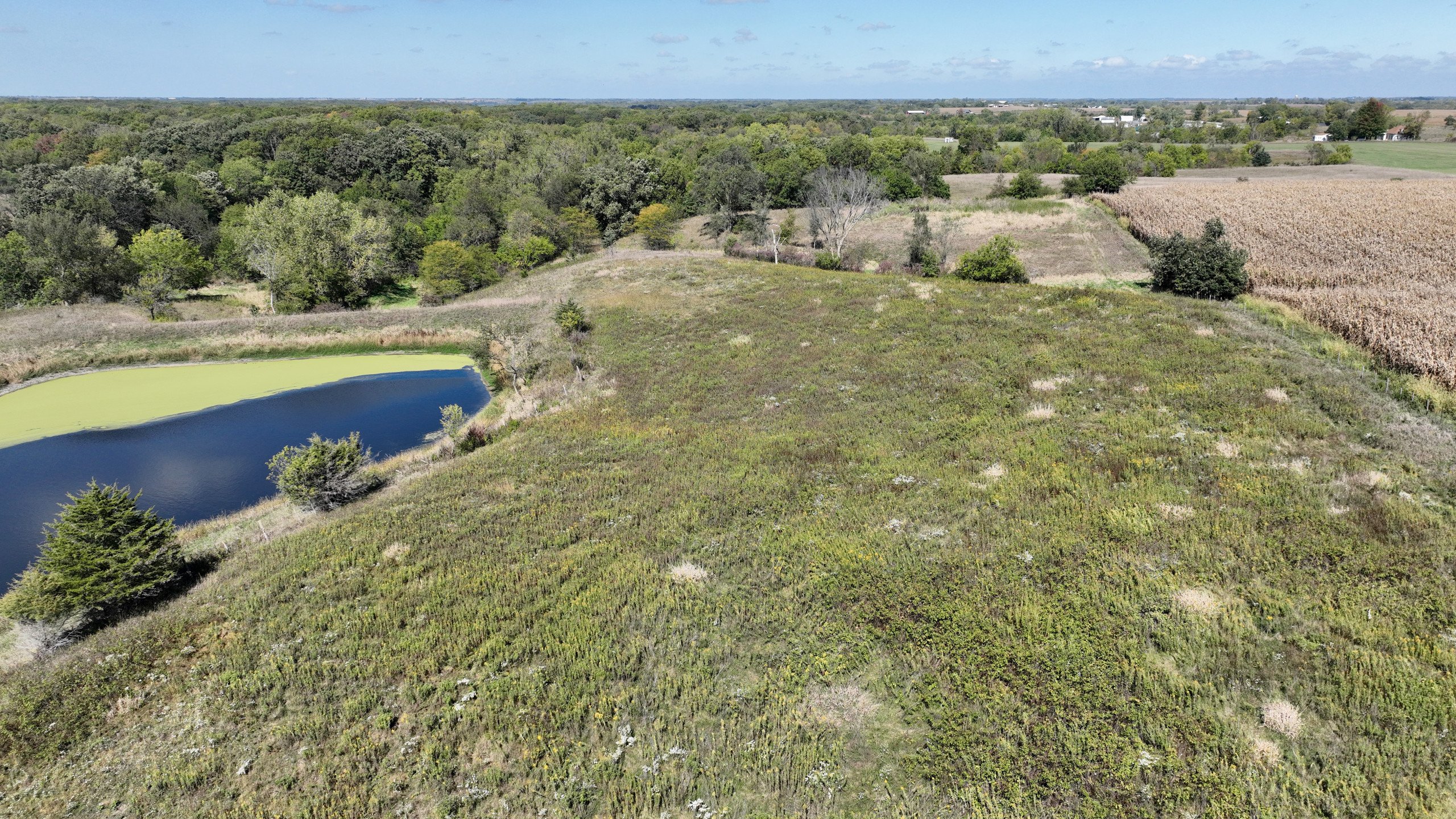 residential-land-lucas-county-iowa-18-acres-listing-number-17156-DJI_0865-2.jpg