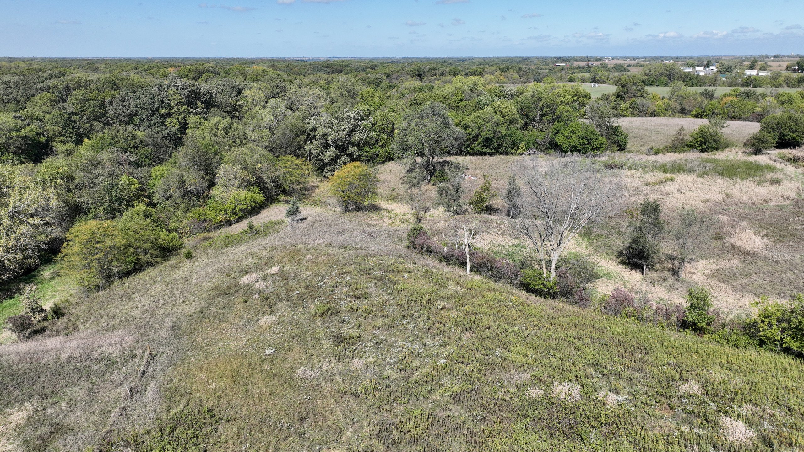 residential-land-lucas-county-iowa-18-acres-listing-number-17156-DJI_0866-3.jpg