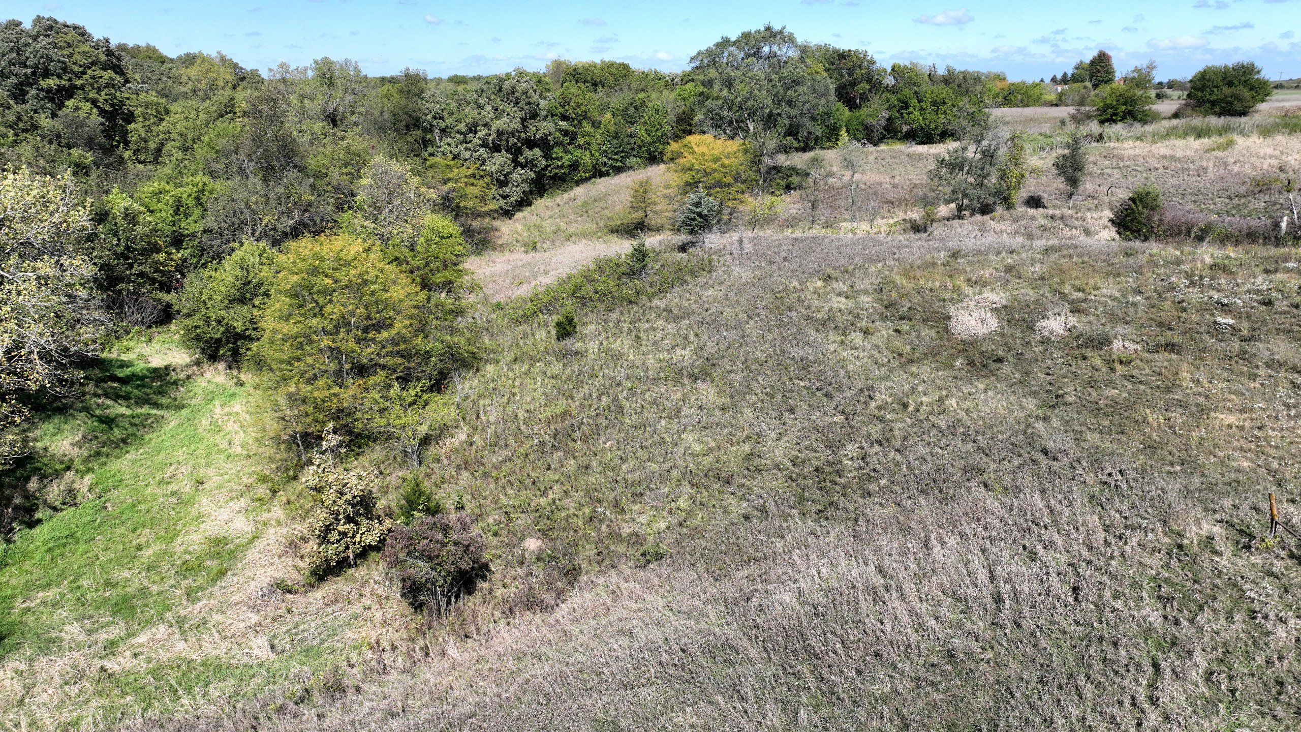 residential-land-lucas-county-iowa-18-acres-listing-number-17156-DJI_0876-3.jpg