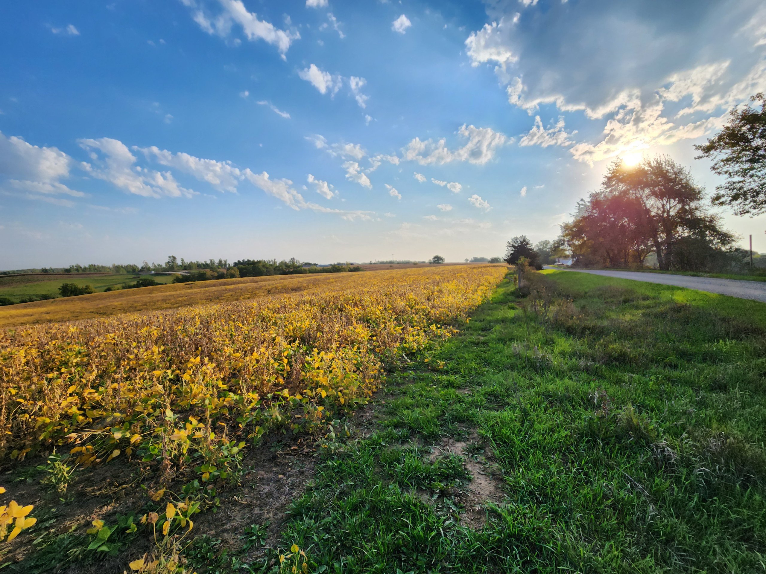 auctions-development-land-johnson-county-iowa-50-acres-listing-number-17157-20230929_082230-3.jpg