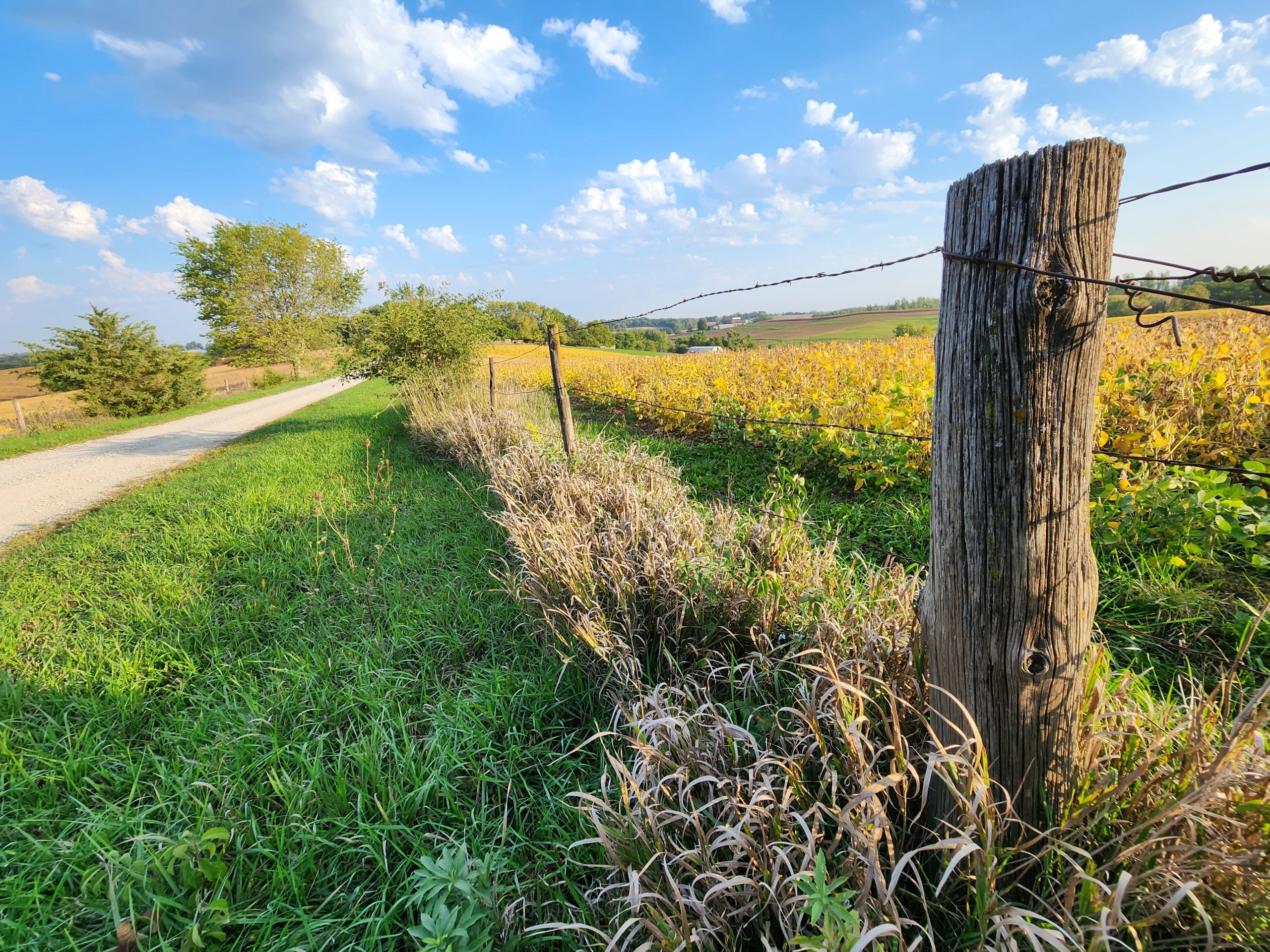 auctions-development-land-johnson-county-iowa-50-acres-listing-number-17157-20230929_082451-3.jpg