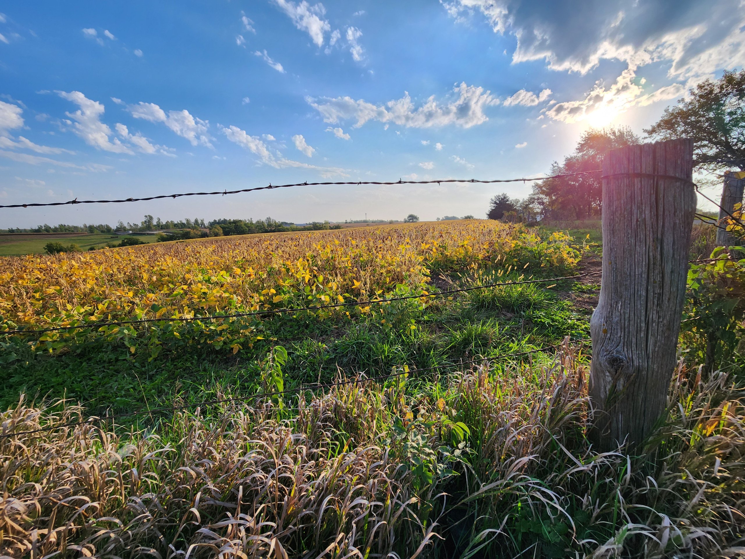 auctions-development-land-johnson-county-iowa-50-acres-listing-number-17157-20230929_082459-0.jpg