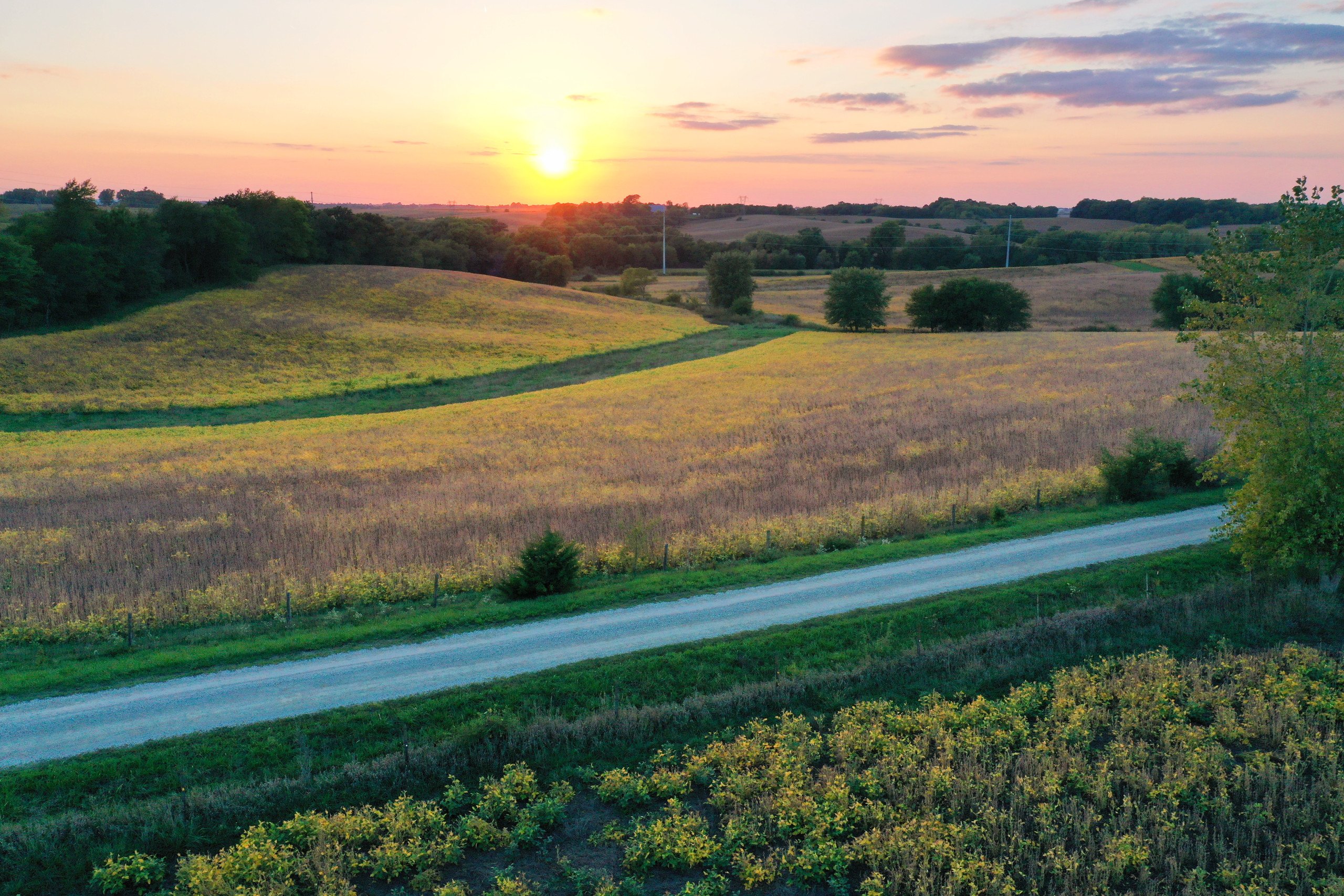 auctions-development-land-johnson-county-iowa-50-acres-listing-number-17157-DJI_0272-2.jpg