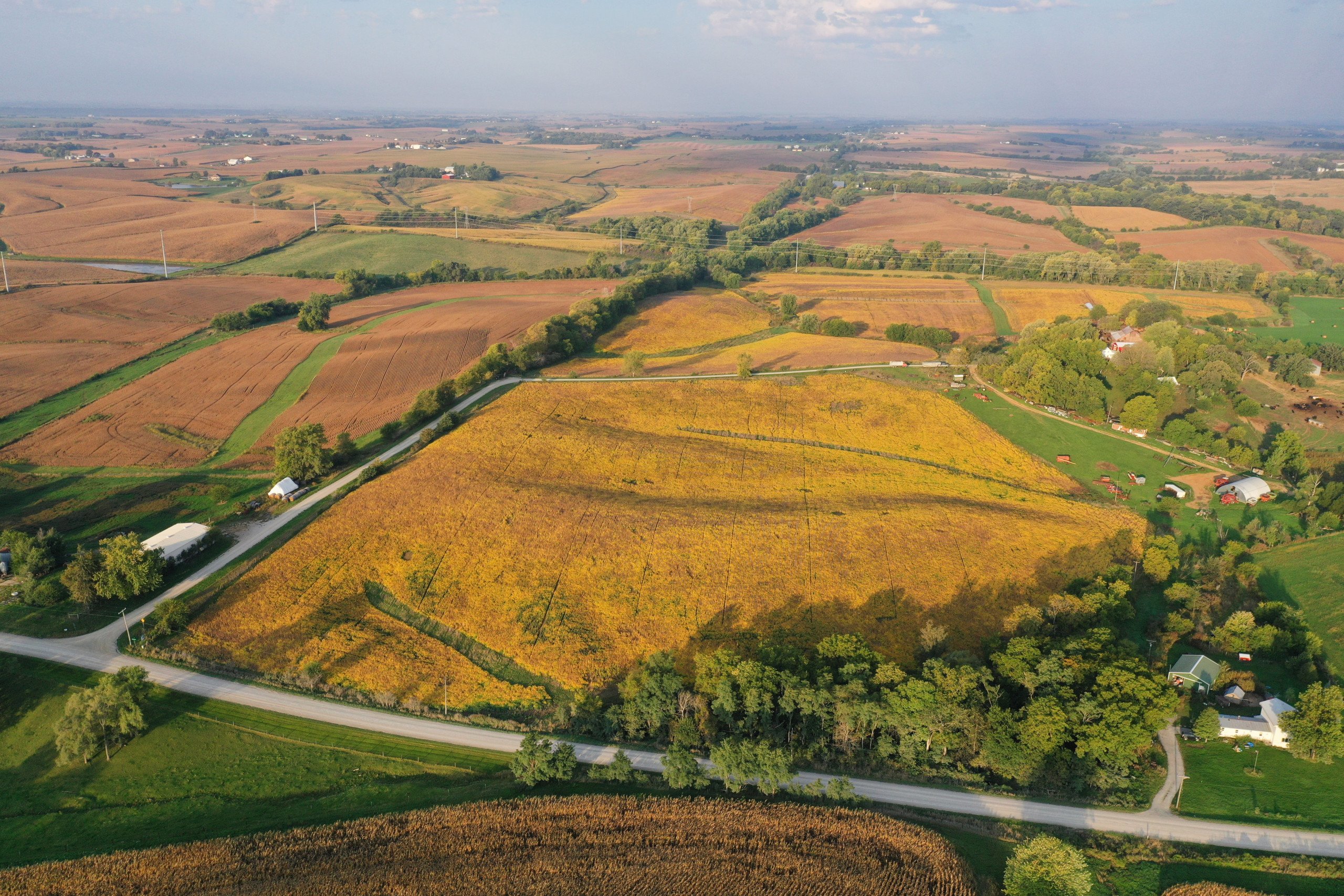 auctions-development-land-johnson-county-iowa-50-acres-listing-number-17157-DJI_0288-0.jpg