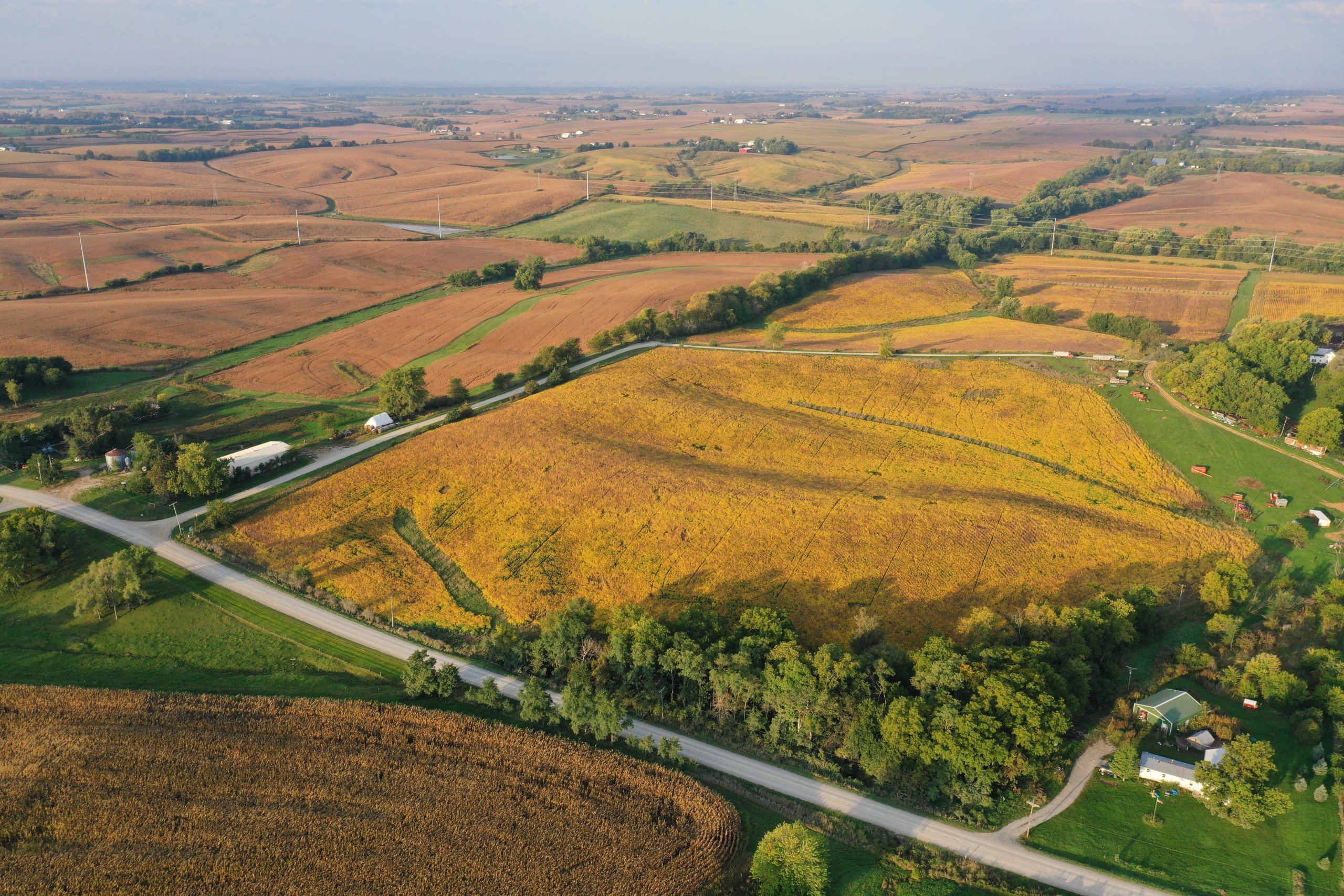 auctions-development-land-johnson-county-iowa-50-acres-listing-number-17157-DJI_0289-3.jpg