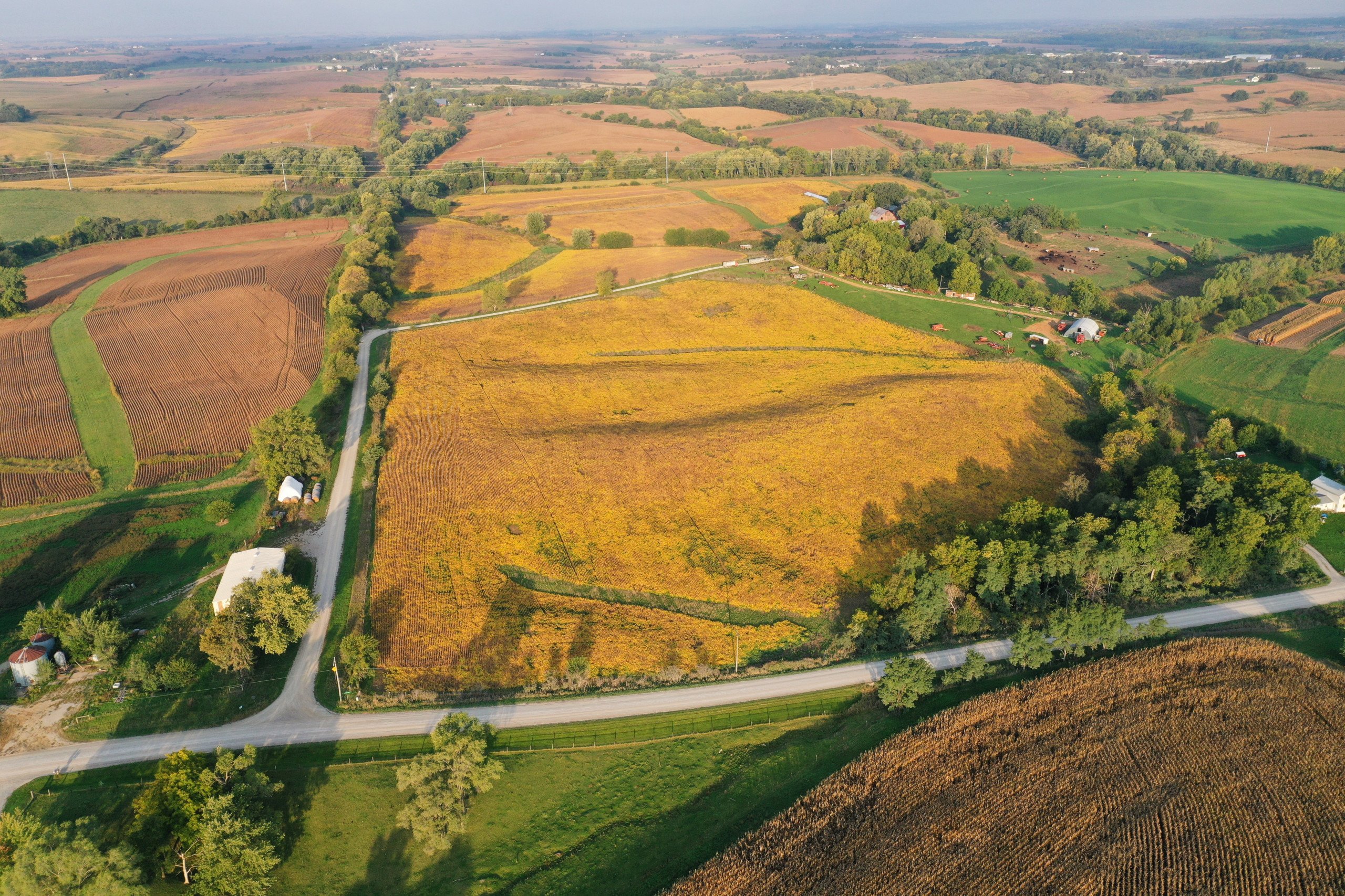 auctions-development-land-johnson-county-iowa-50-acres-listing-number-17157-DJI_0293 (1)-2.jpg