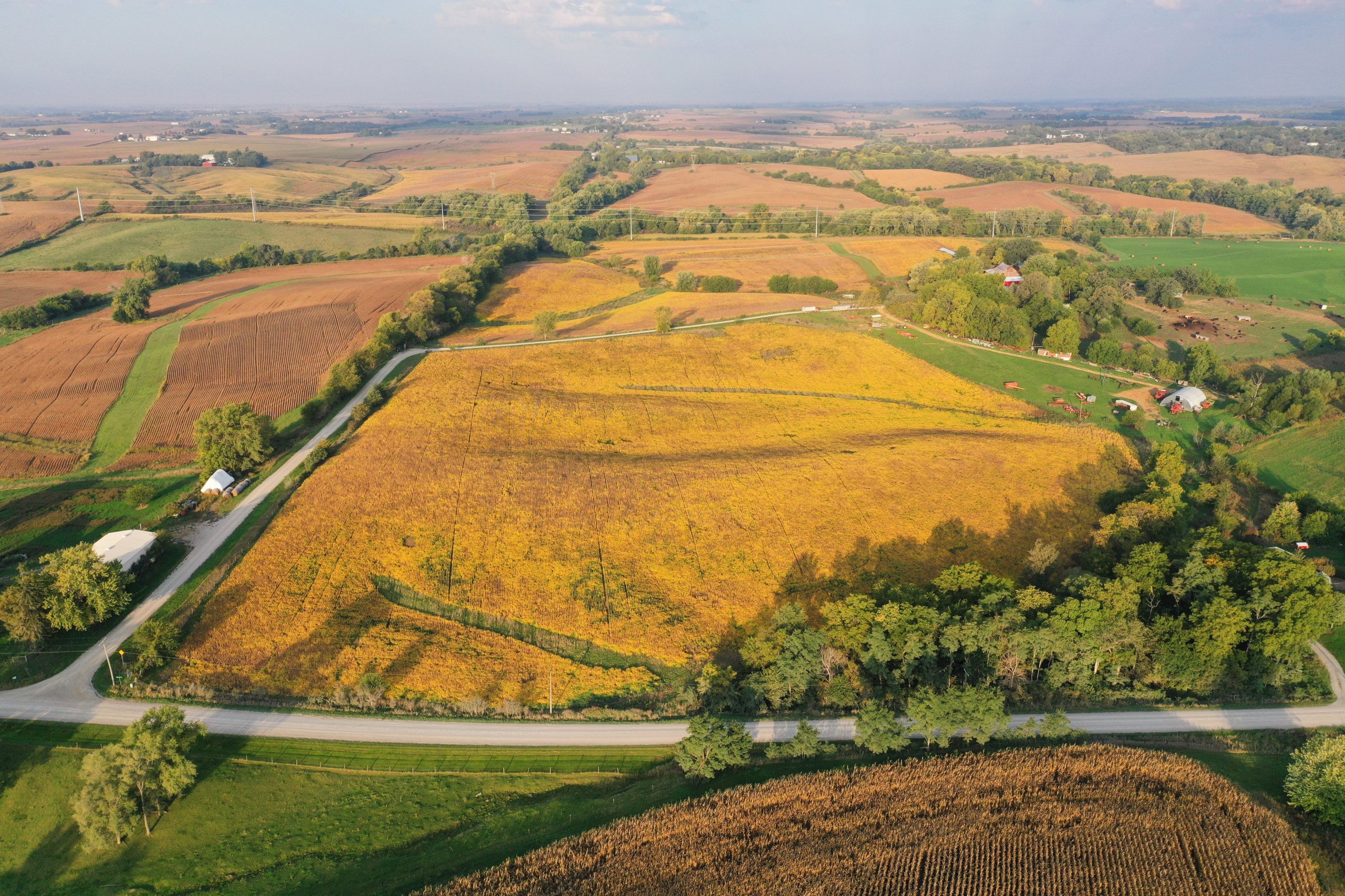 auctions-development-land-johnson-county-iowa-50-acres-listing-number-17157-DJI_0294 (1)-1.jpg