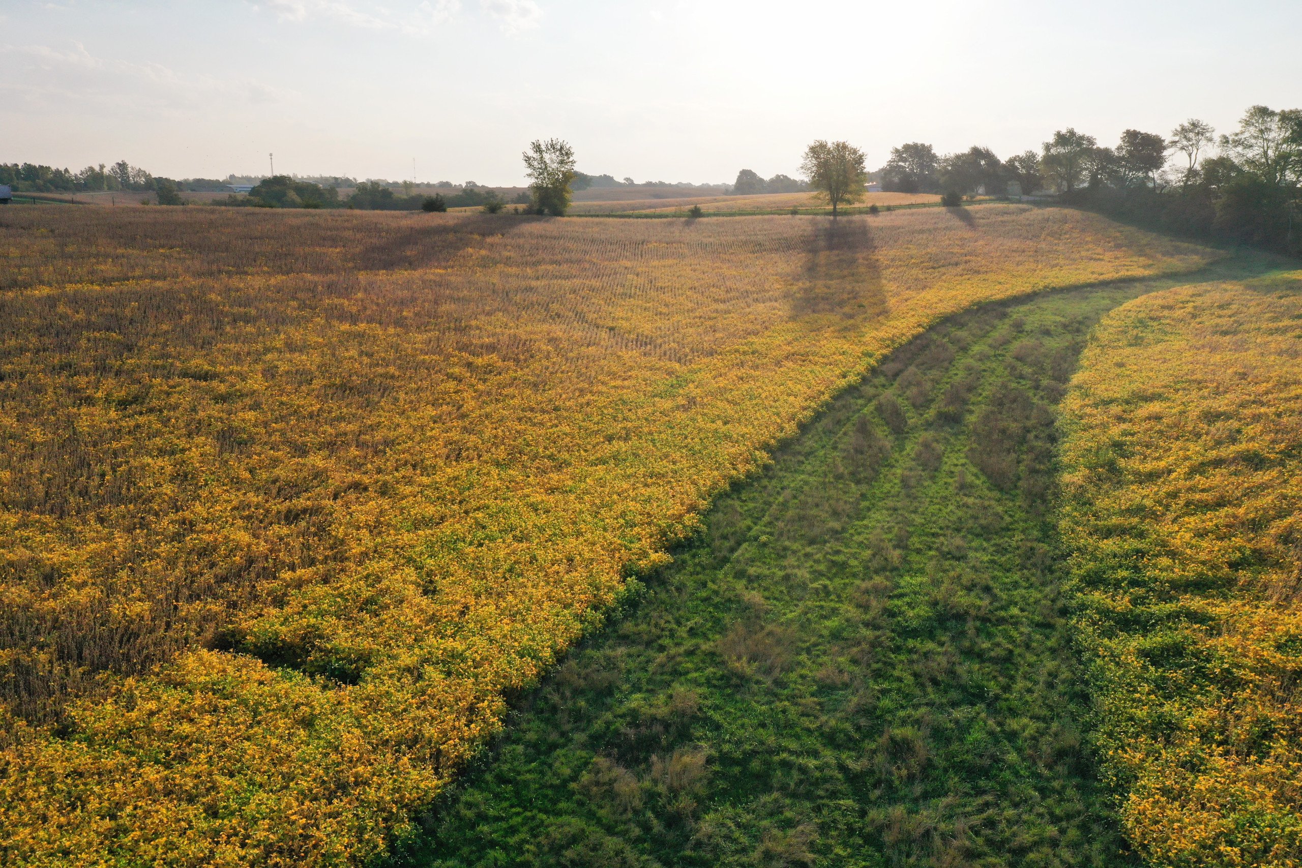 auctions-development-land-johnson-county-iowa-50-acres-listing-number-17157-DJI_0296-0.jpg