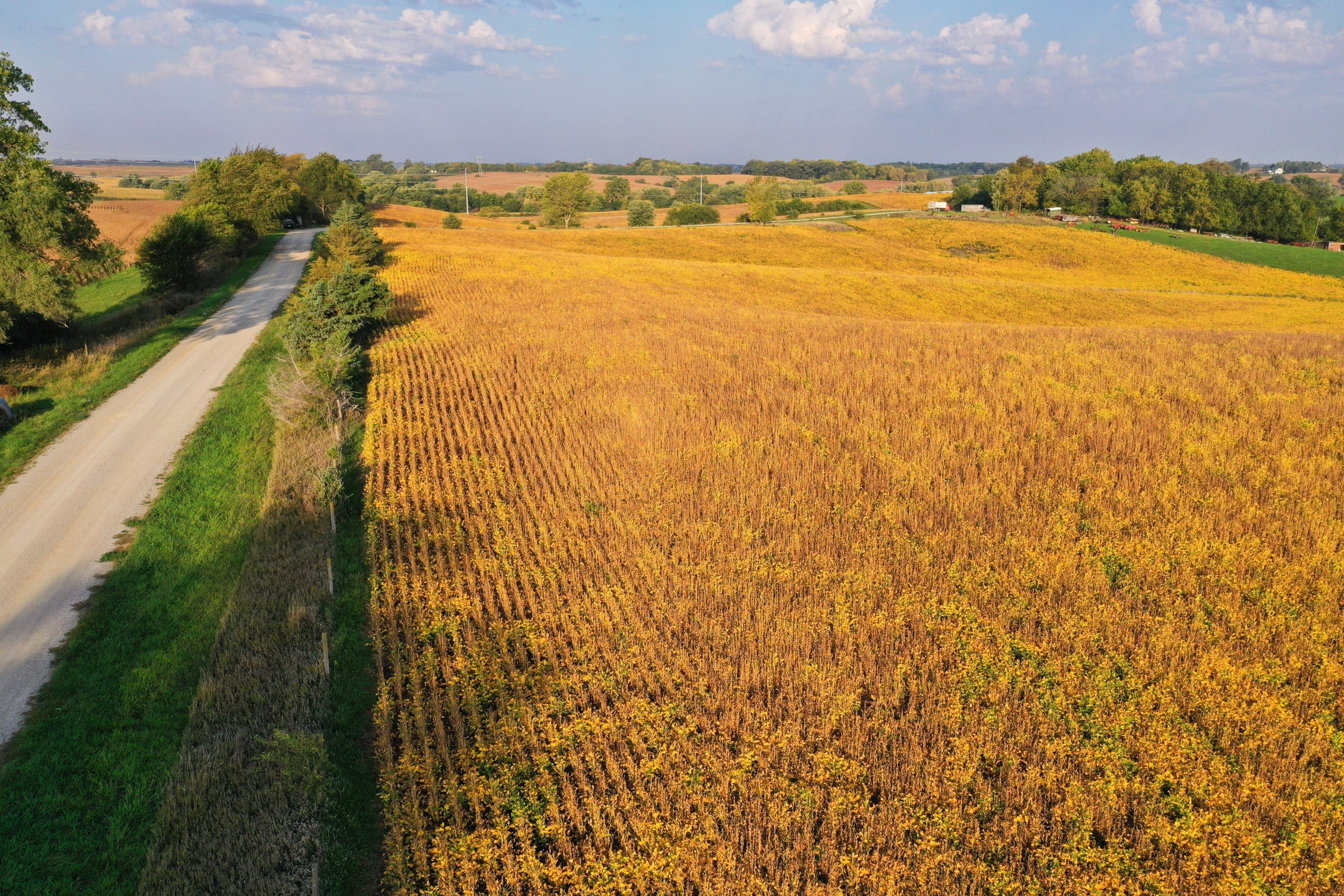 auctions-development-land-johnson-county-iowa-50-acres-listing-number-17157-DJI_0314-3.jpg