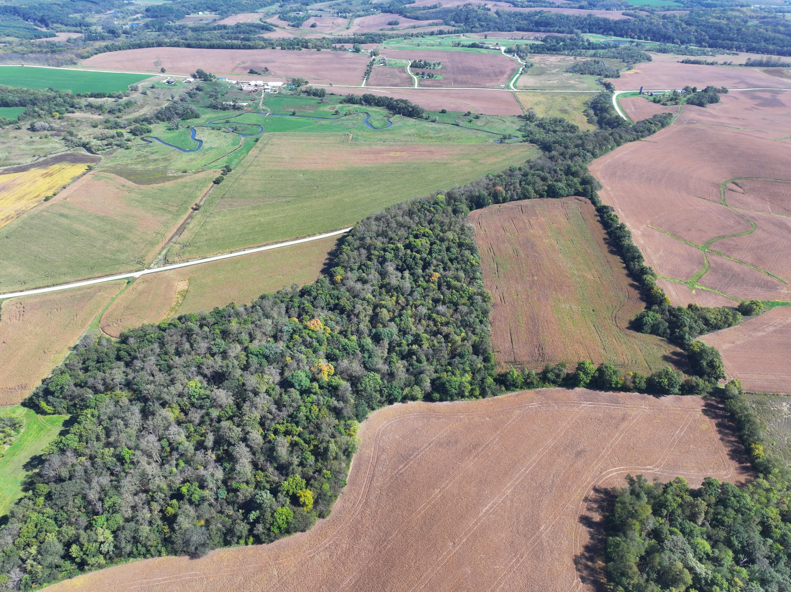 land-lafayette-county-wisconsin-46-acres-listing-number-17163-DJI_20231002132155_0006_D-1.jpg