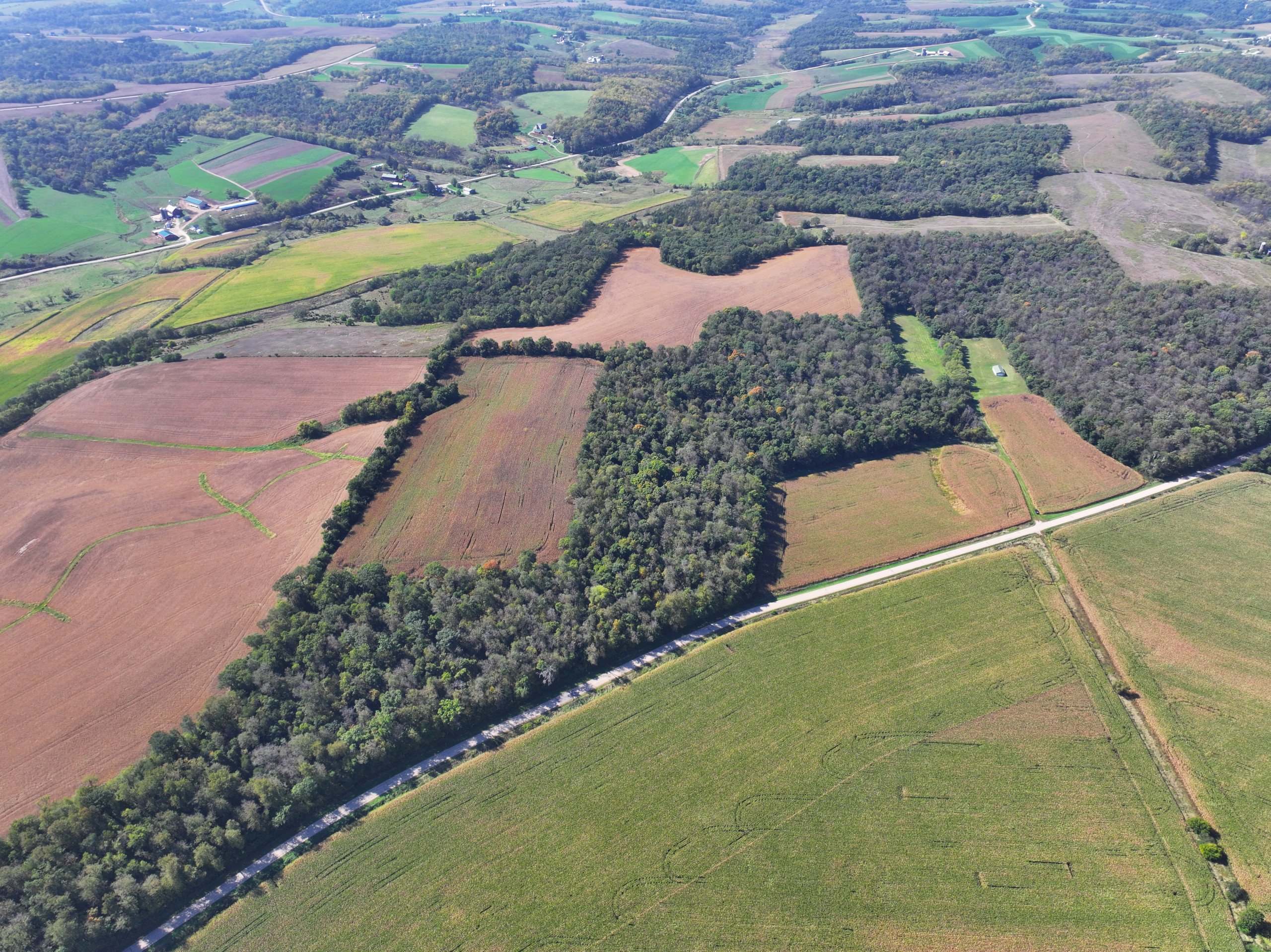 land-lafayette-county-wisconsin-46-acres-listing-number-17163-DJI_20231002132600_0013_D-2.jpg