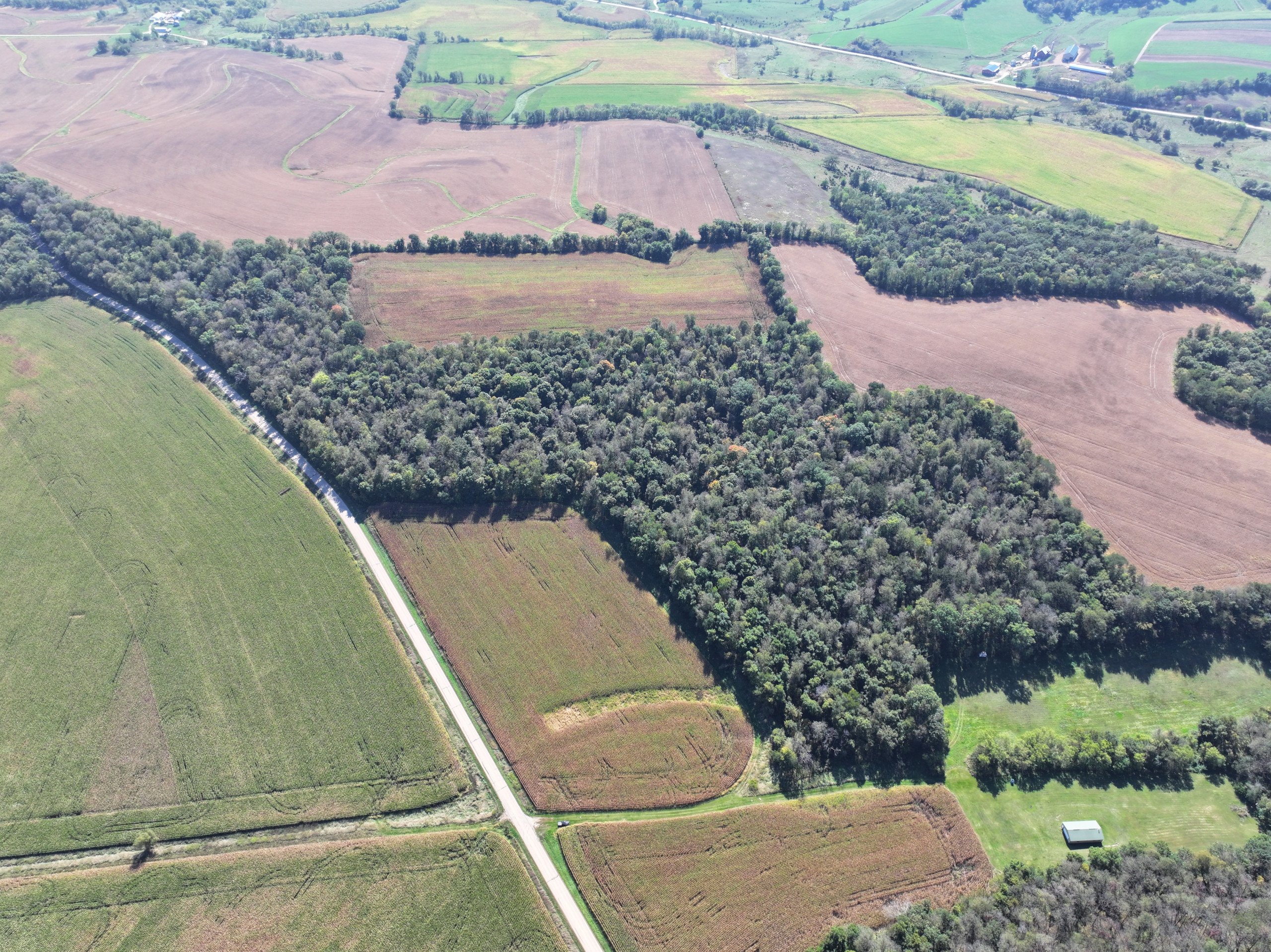 land-lafayette-county-wisconsin-46-acres-listing-number-17163-DJI_20231002132758_0019_D-0.jpg