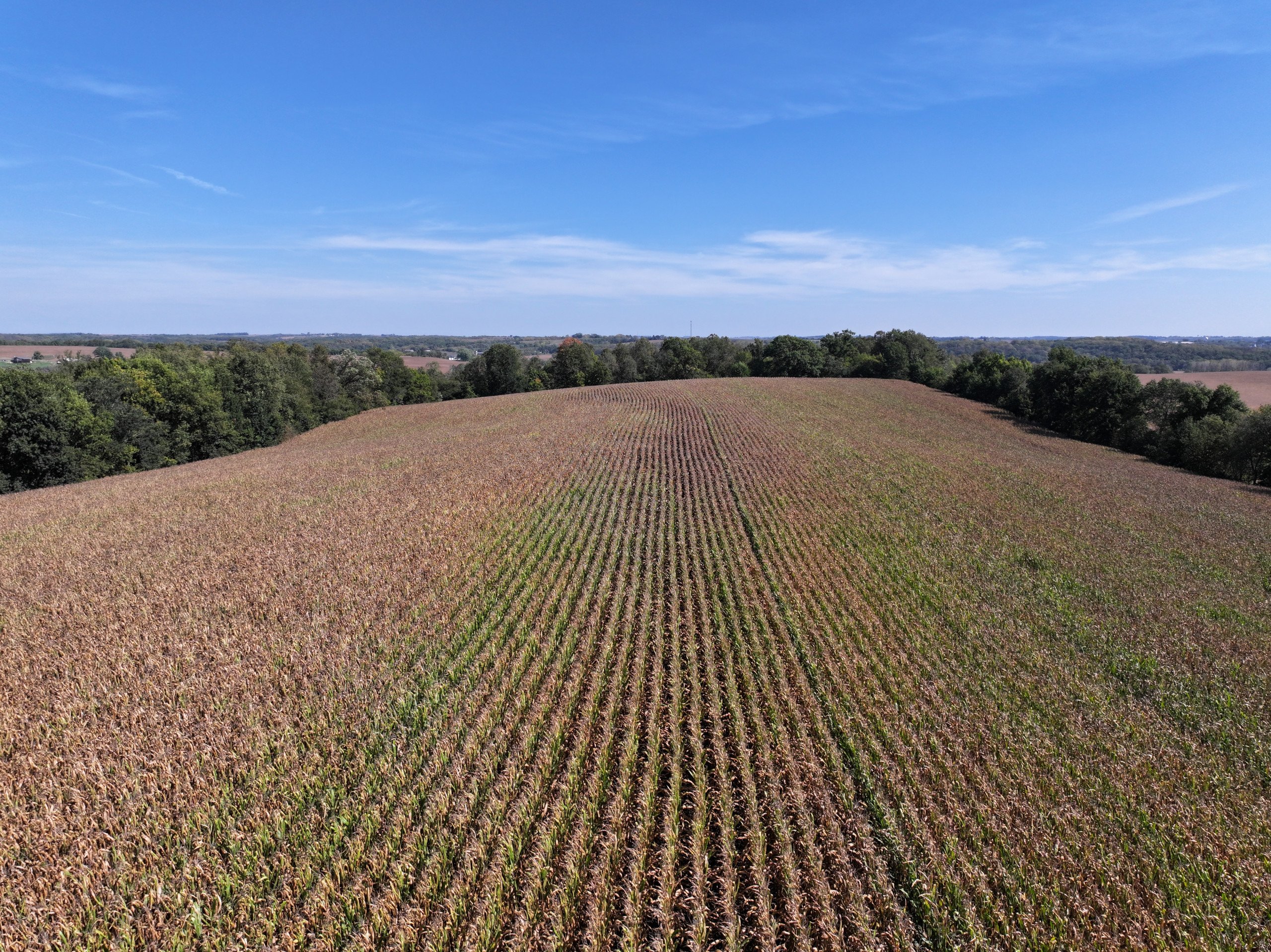 land-lafayette-county-wisconsin-46-acres-listing-number-17163-DJI_20231002133422_0031_D-0.jpg