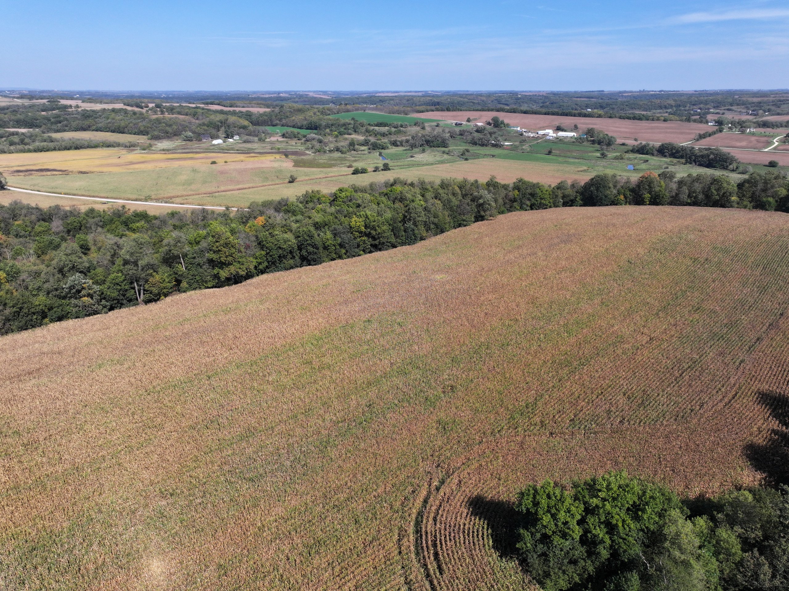 land-lafayette-county-wisconsin-46-acres-listing-number-17163-DJI_20231002133531_0033_D-1.jpg