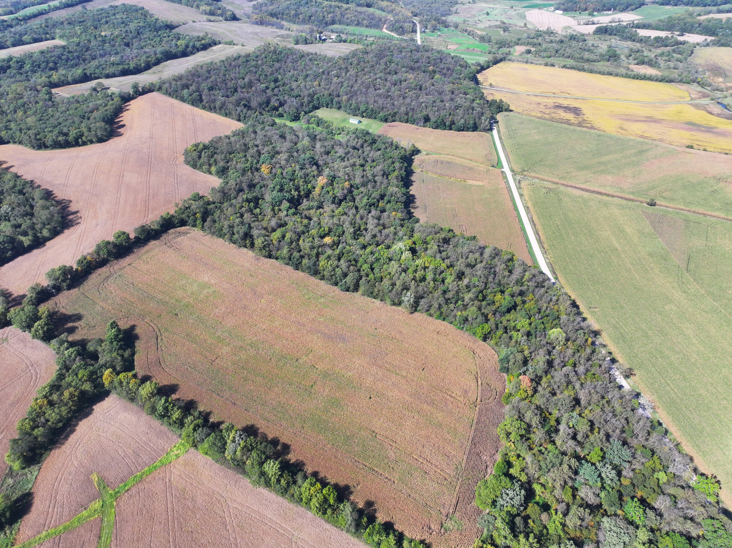 land-lafayette-county-wisconsin-46-acres-listing-number-17163-DJI_20231002134055_0043_D-0.jpg