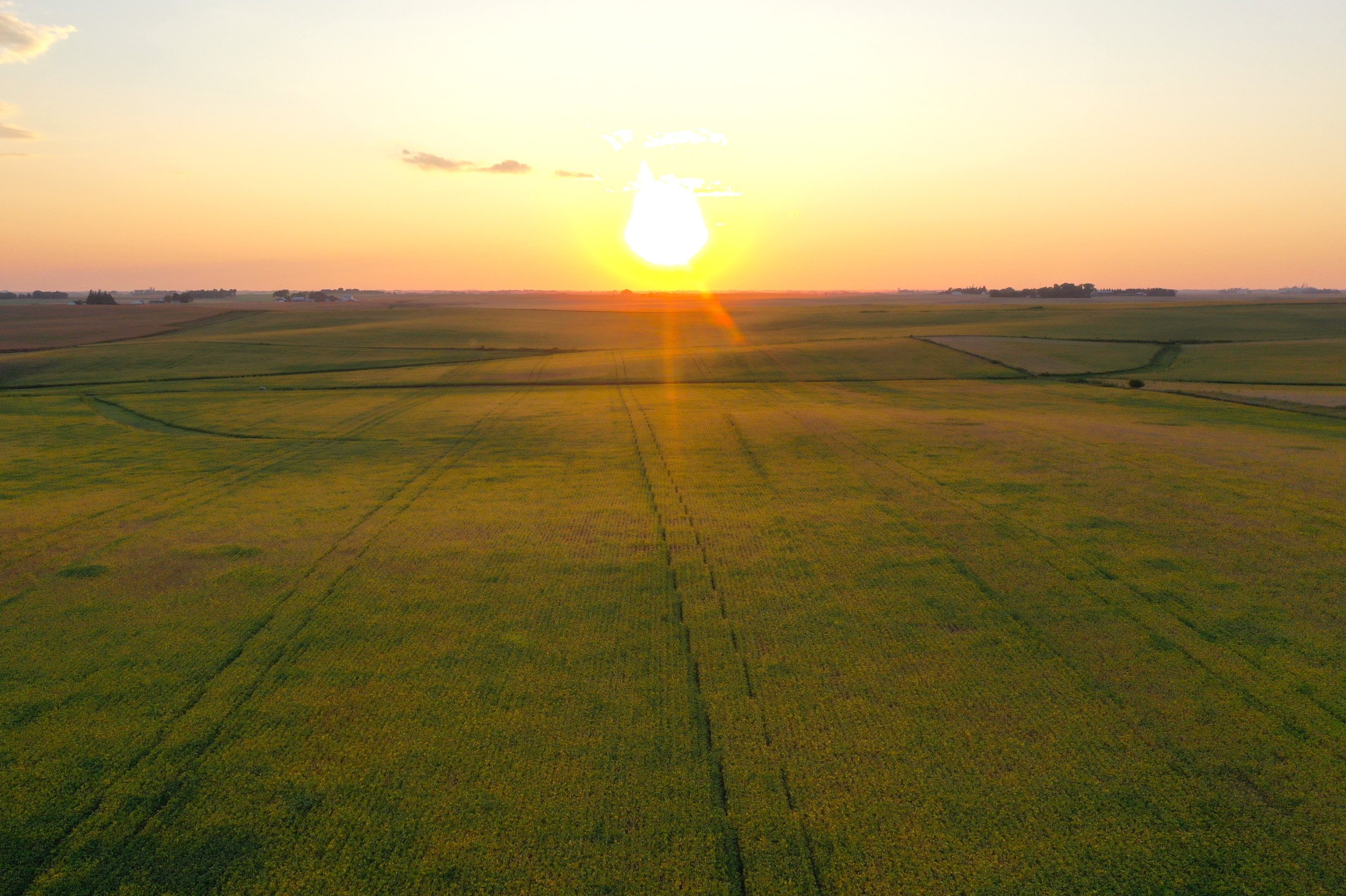 2-cedar-falls-50613-DJI_0731-2.jpg