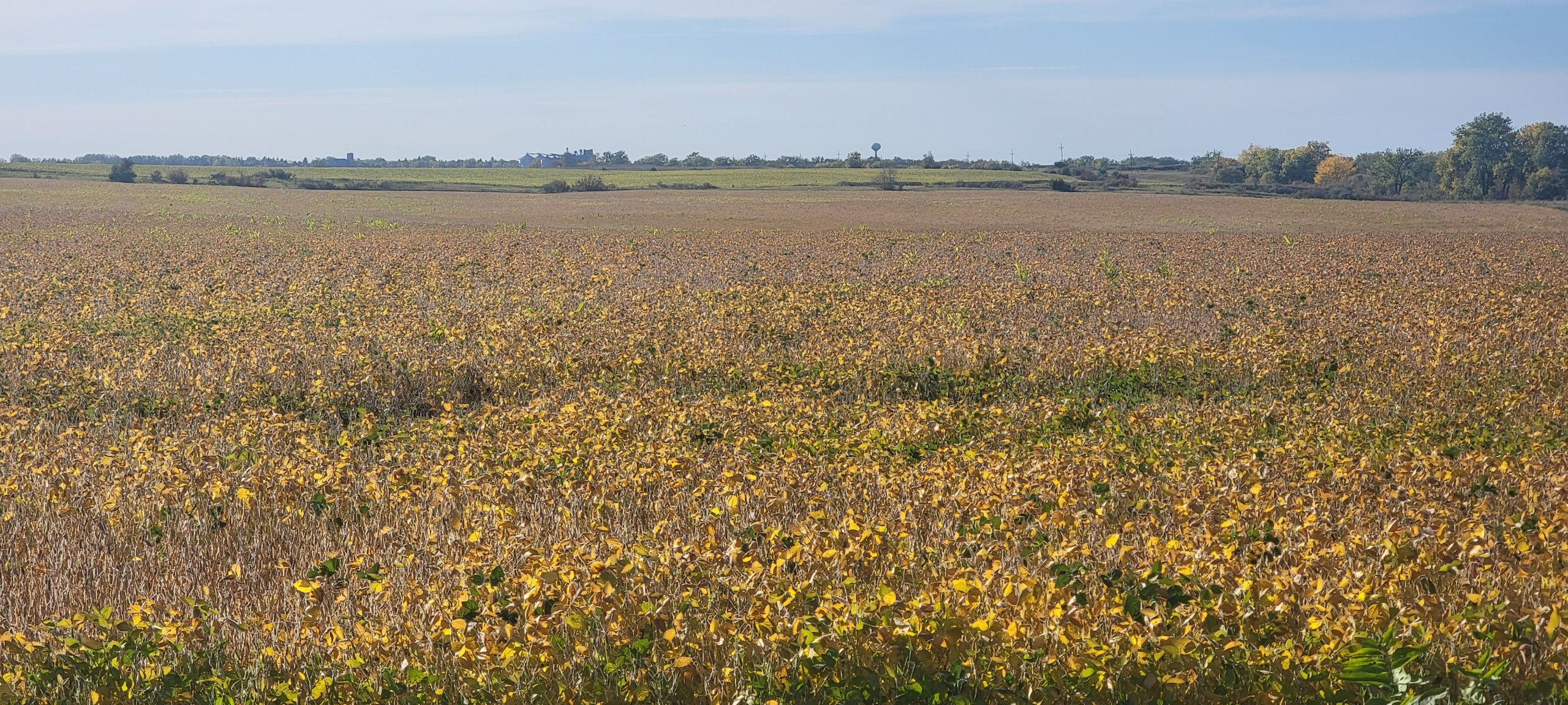 auctions-land-burleigh-county-north-dakota-160-acres-listing-number-17181-20230928_165701-1.jpg