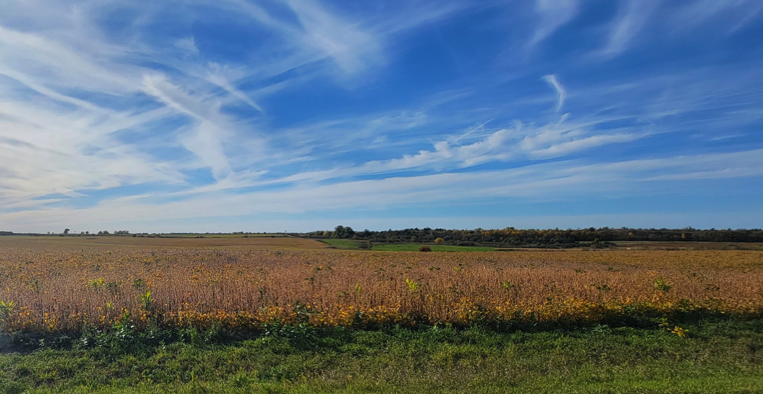 auctions-land-burleigh-county-north-dakota-160-acres-listing-number-17181-20230928_165801-2.jpg