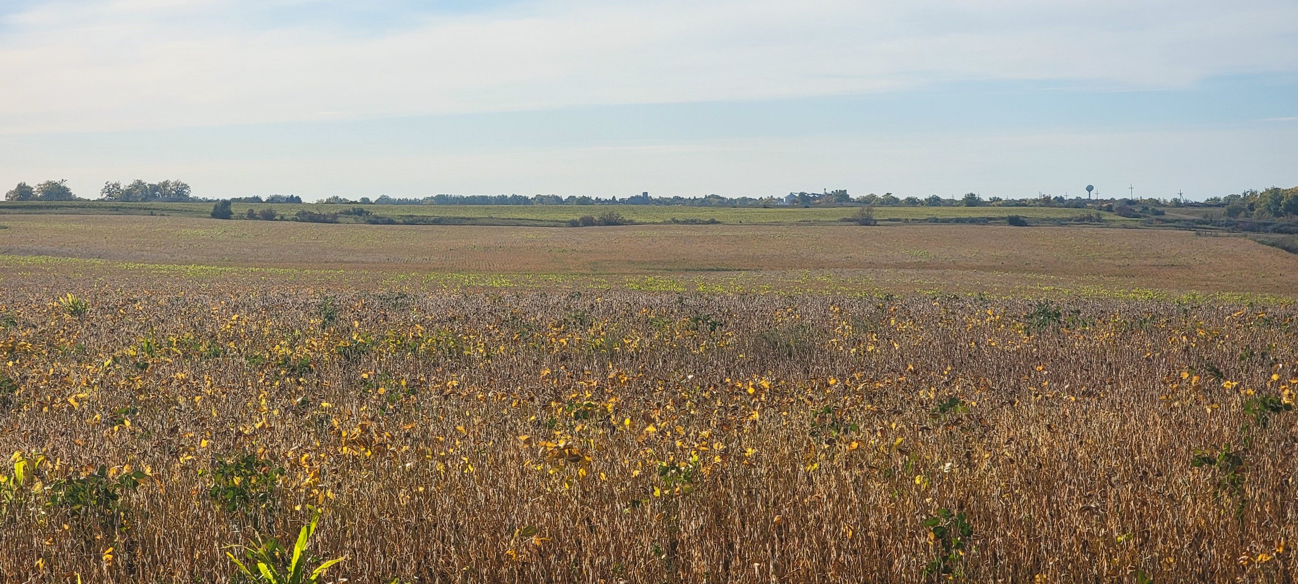 auctions-land-burleigh-county-north-dakota-160-acres-listing-number-17181-20230928_165806-3.jpg