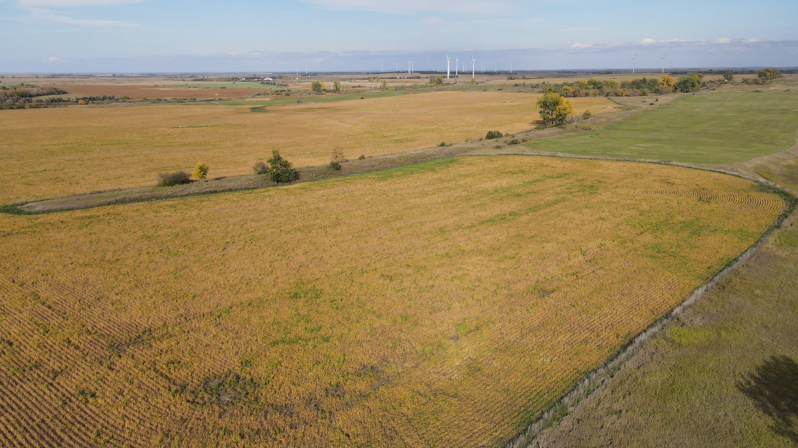 auctions-land-burleigh-county-north-dakota-160-acres-listing-number-17181-DJI_0654-0.jpg