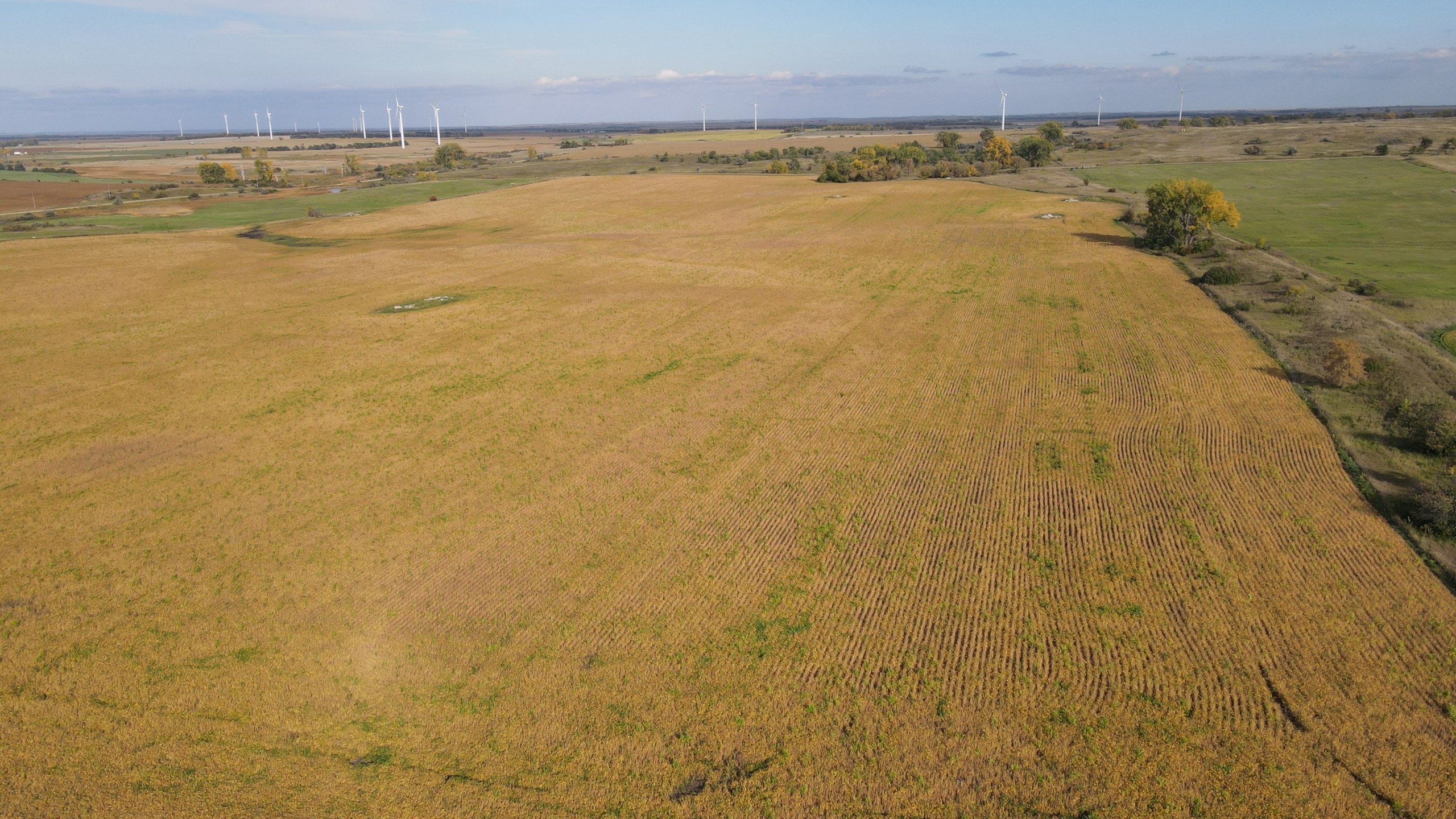 auctions-land-burleigh-county-north-dakota-160-acres-listing-number-17181-DJI_0658-1.jpg