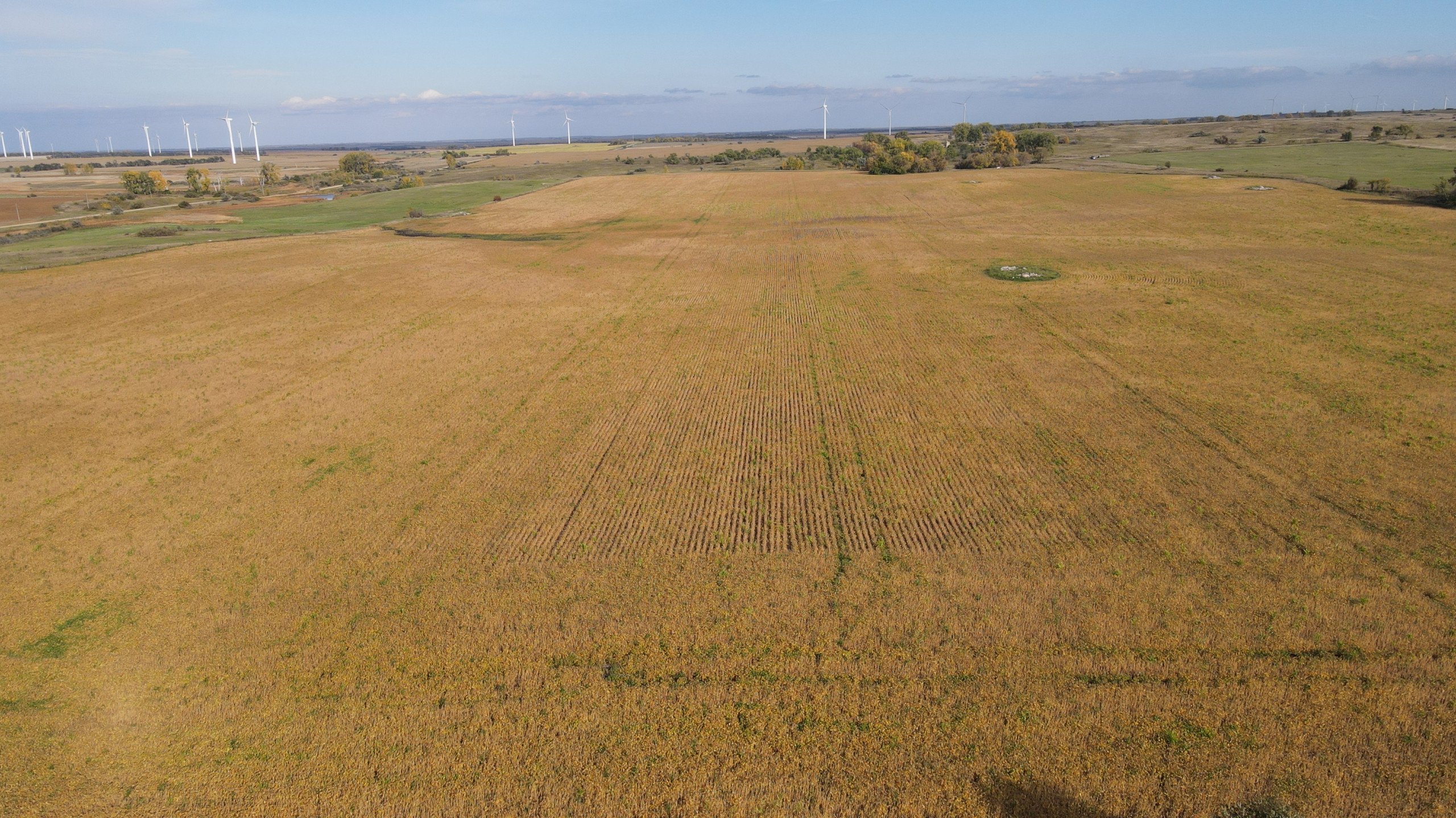 auctions-land-burleigh-county-north-dakota-160-acres-listing-number-17181-DJI_0662-2.jpg