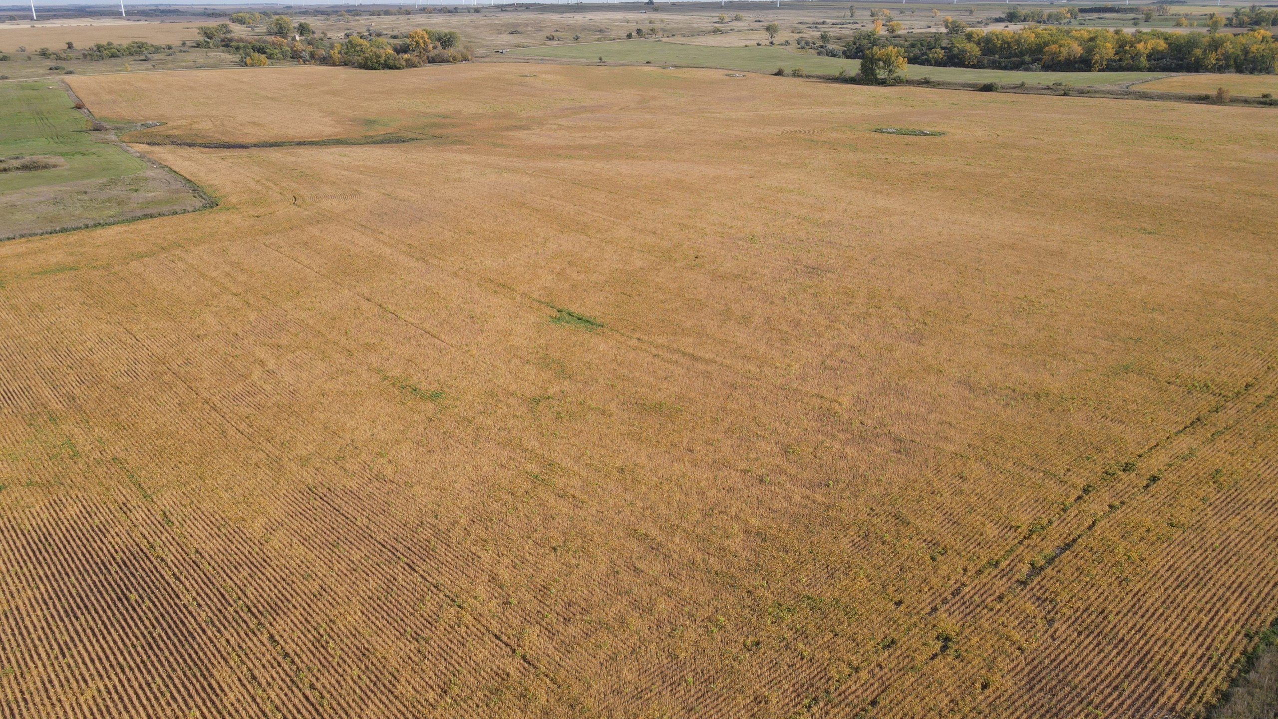 auctions-land-burleigh-county-north-dakota-160-acres-listing-number-17181-DJI_0666-3.jpg