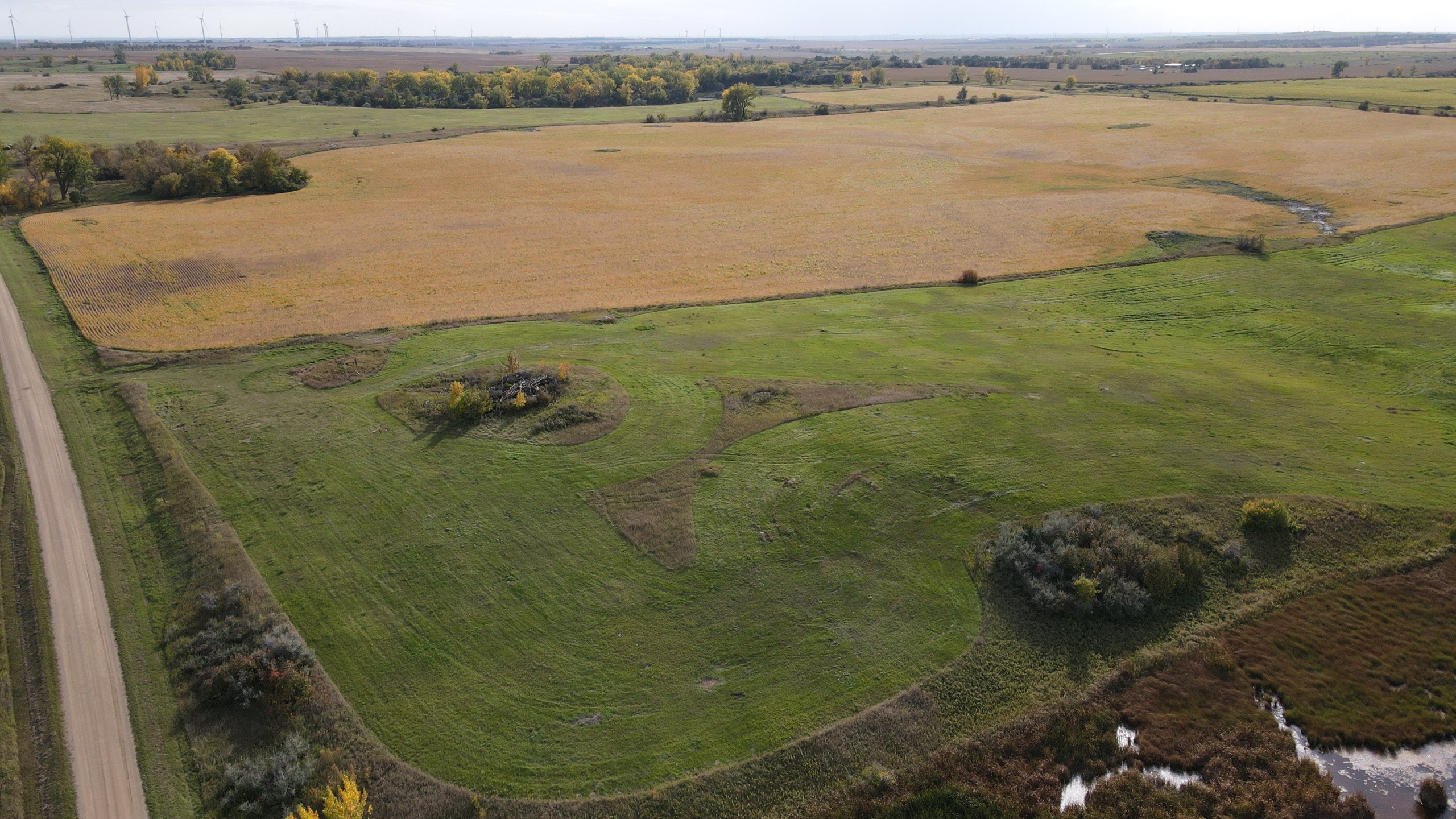 auctions-land-burleigh-county-north-dakota-160-acres-listing-number-17181-DJI_0681-5.jpg