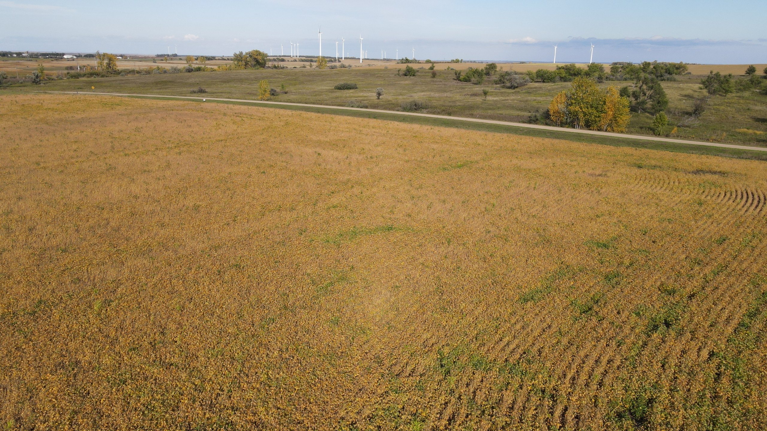 auctions-land-burleigh-county-north-dakota-160-acres-listing-number-17181-DJI_0696-6.jpg