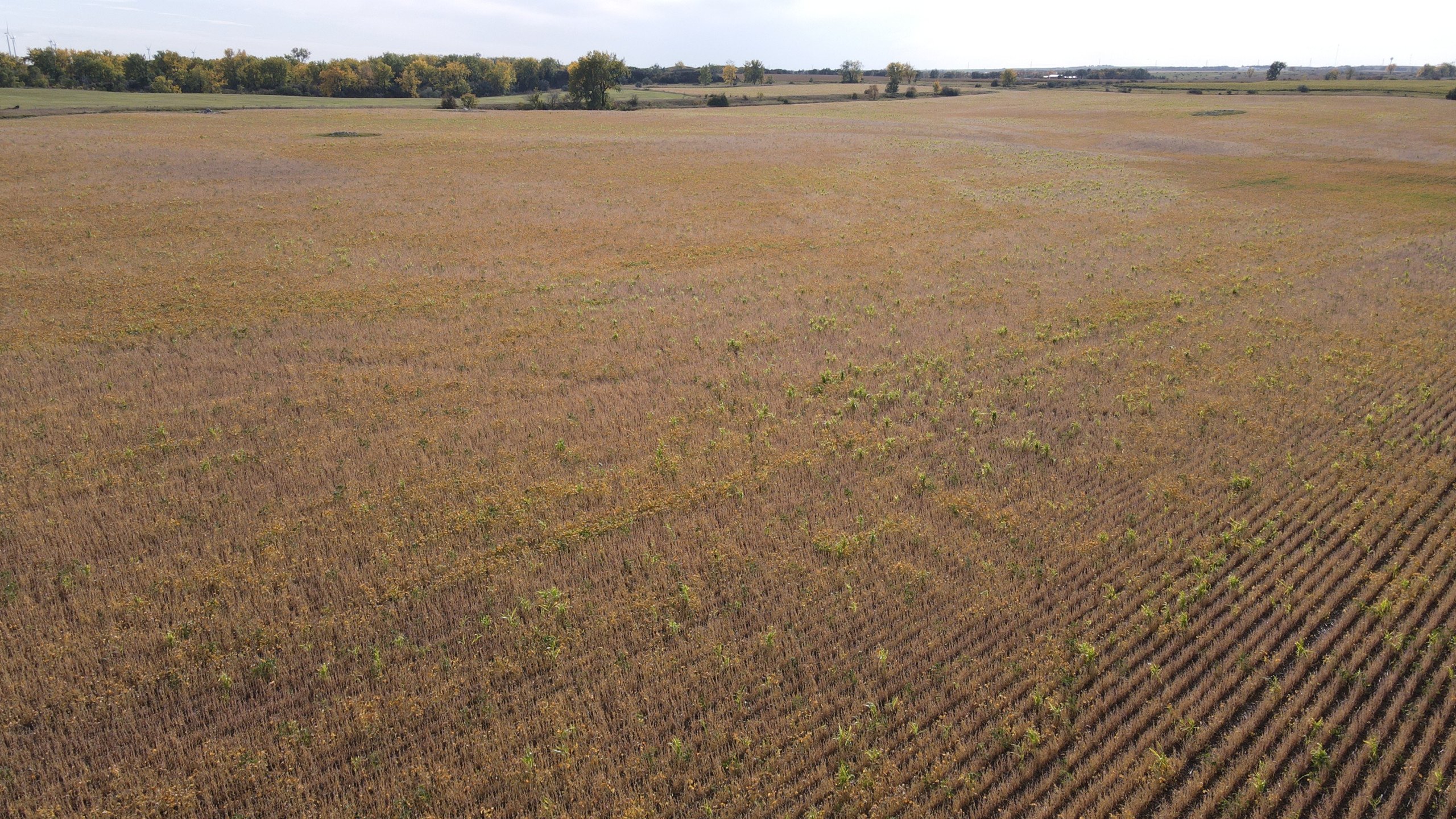 auctions-land-burleigh-county-north-dakota-160-acres-listing-number-17181-DJI_0700-7.jpg