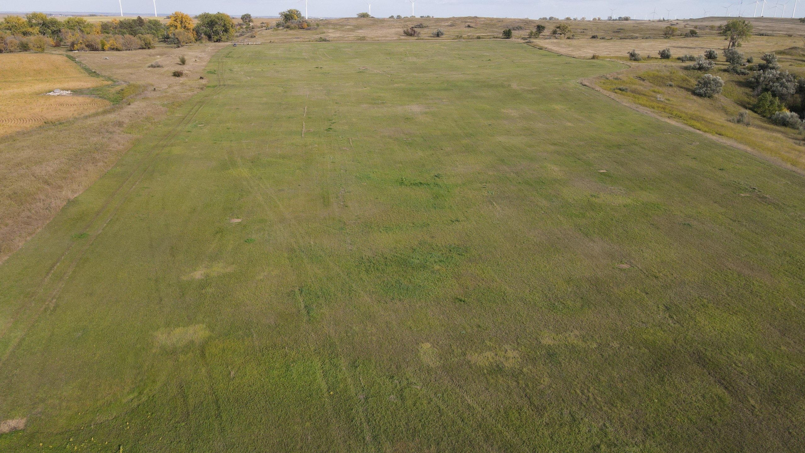 auctions-land-burleigh-county-north-dakota-160-acres-listing-number-17181-DJI_0708-8.jpg