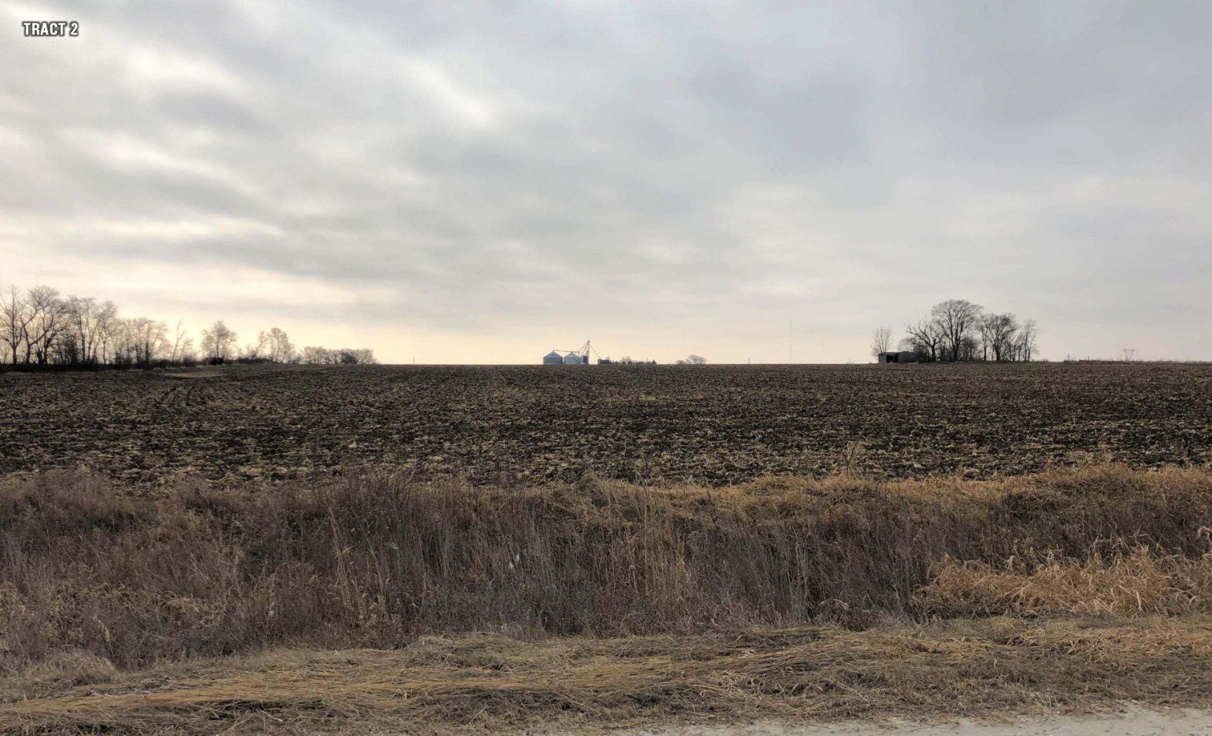 Ground Photo - Looking South