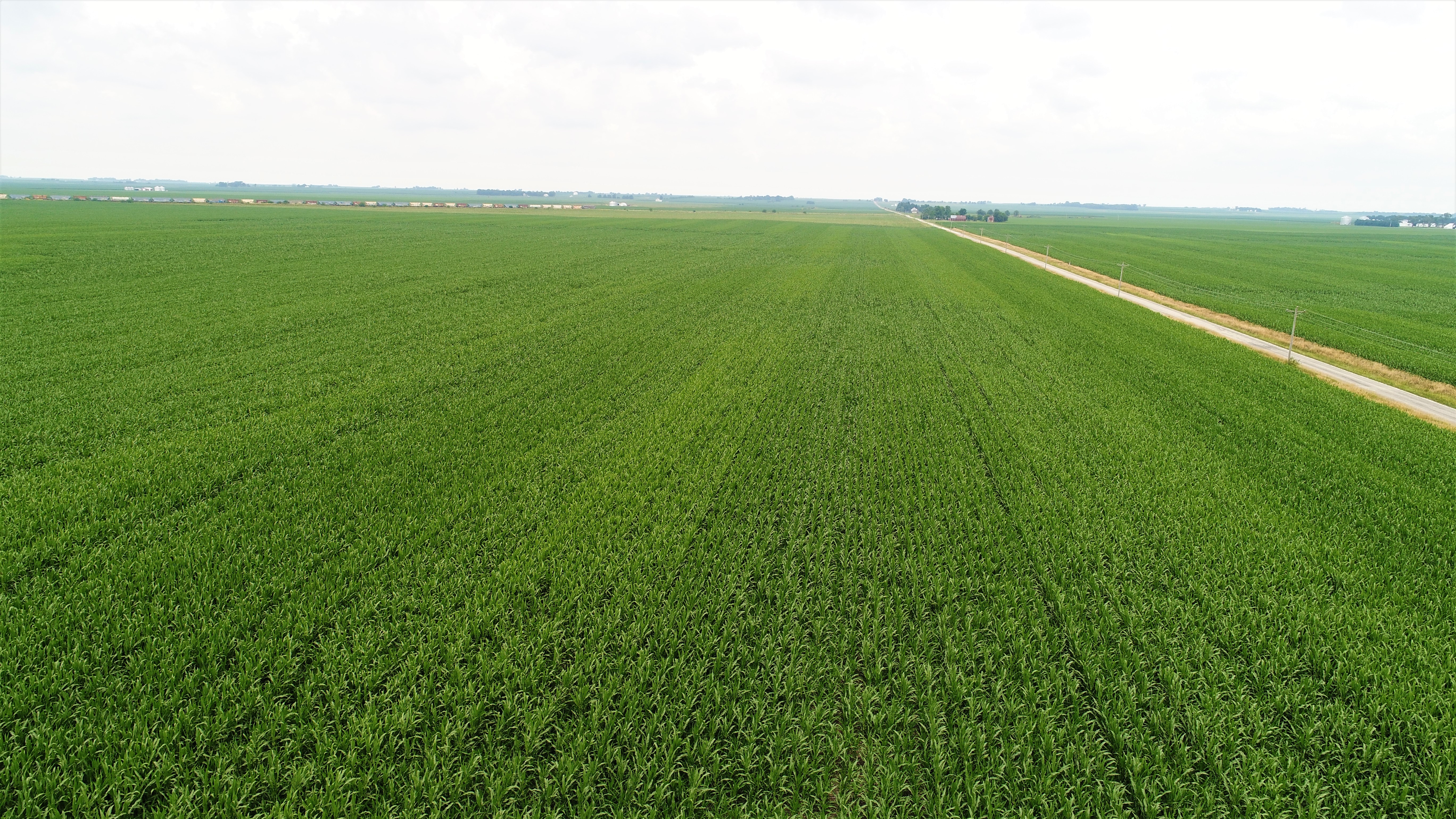 Edgar County Illinois 224 Acres Farmland Edgar County Illinois 224 Acres Farmland